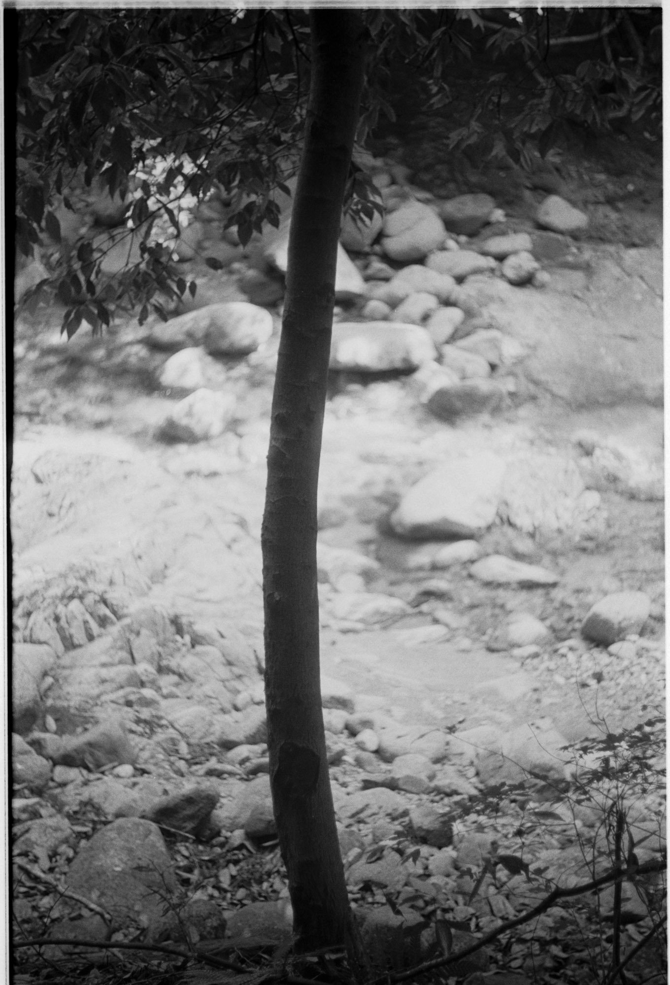 カメラ機材に依存しない写真｜しまなみフォトライフ