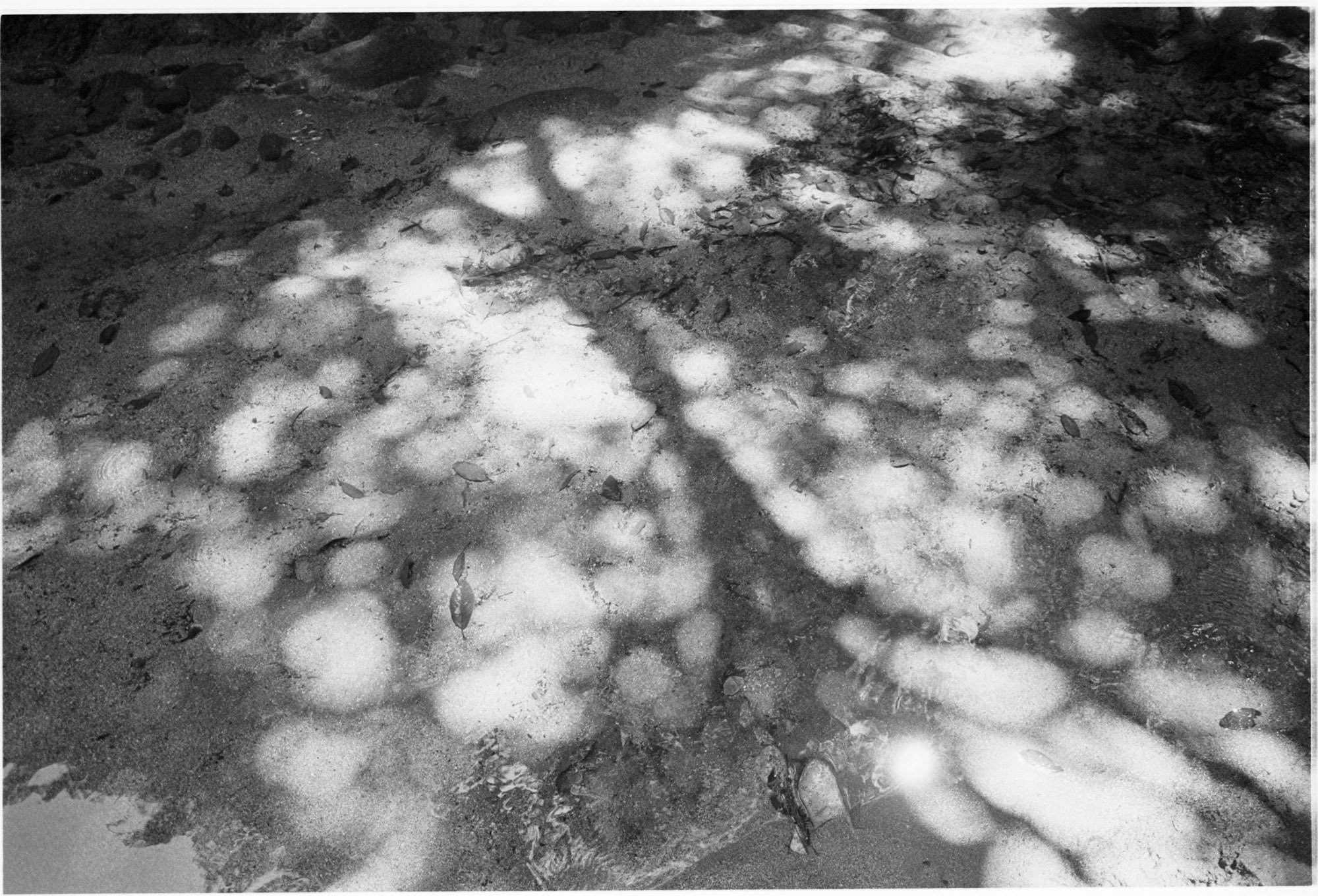 カメラ機材に依存しない写真｜しまなみフォトライフ