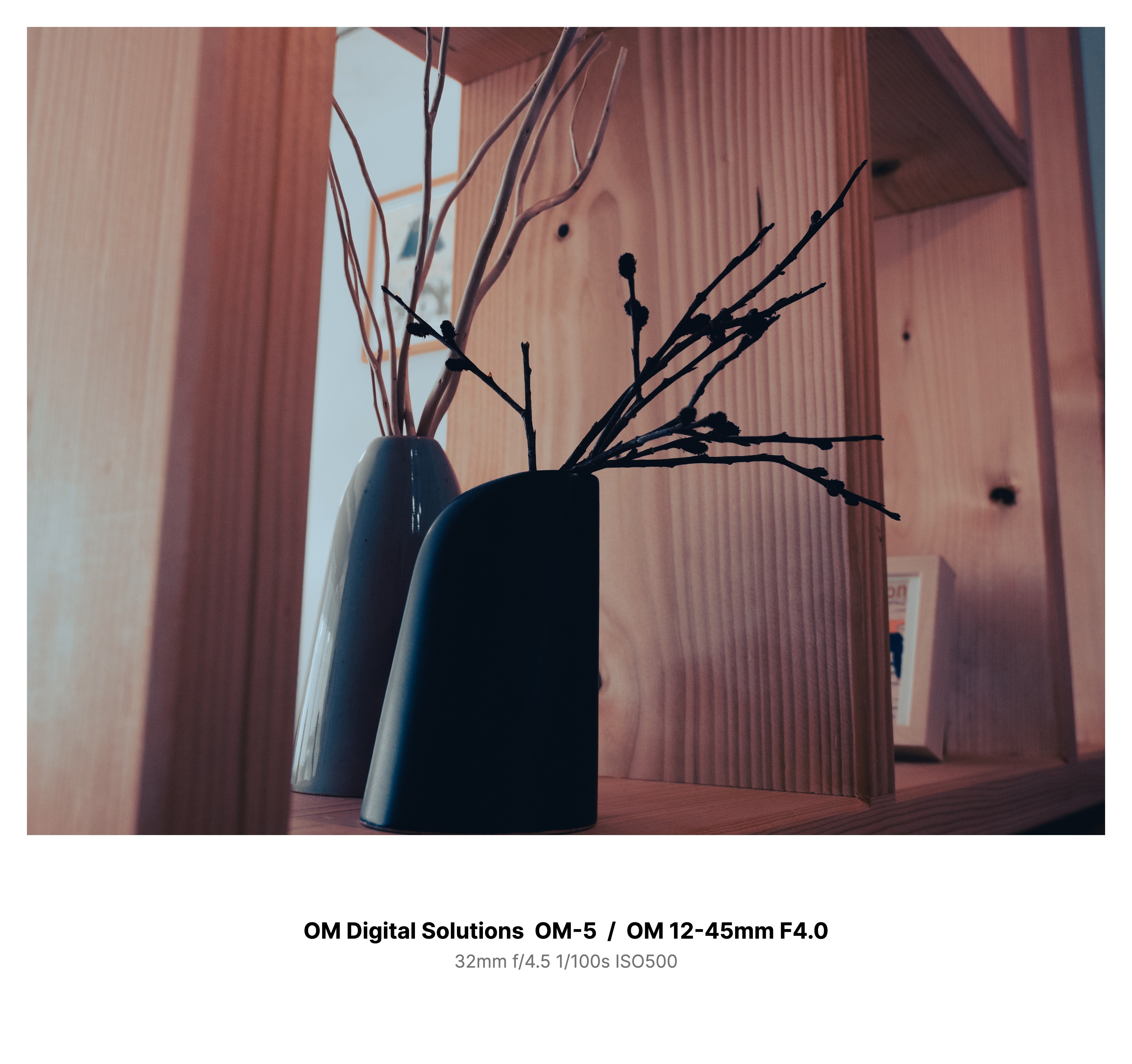 スナップ用カメラを買ったわよ2025夏 OM-SYSTEM OM-5｜ボイルドウォー