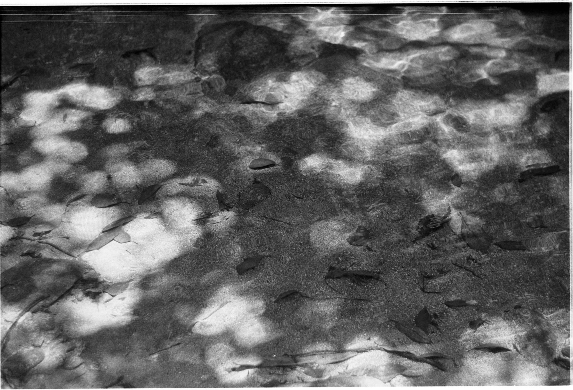 専用、最後の写真のみ カメラ機材に依存しない写真｜しまなみフォトライフ