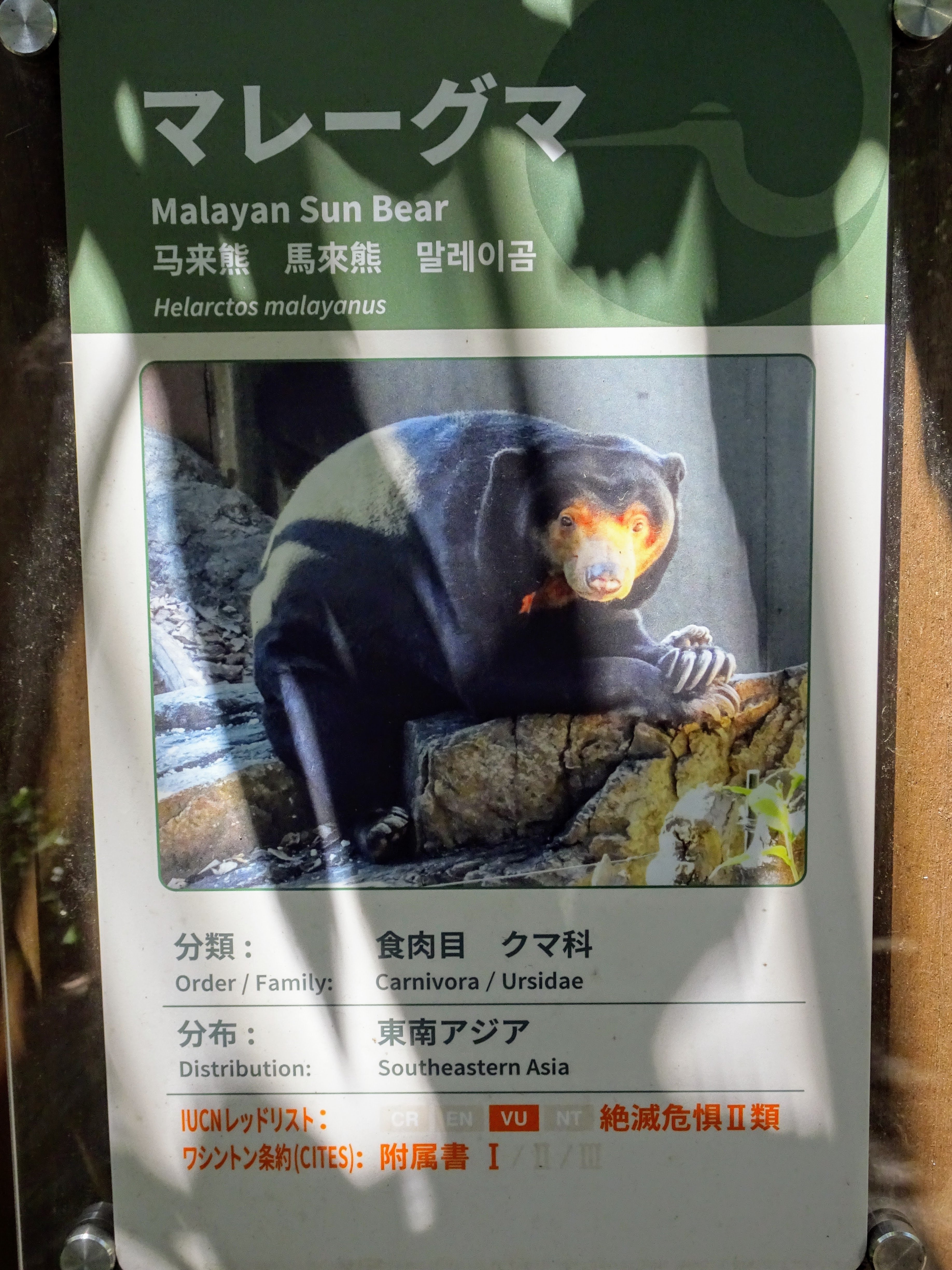 上野動物園百年史 (本編 資料編）2巻 上野動物園百年史 (本編 資料編）2巻 Amazon.co.jp: 上野動物園