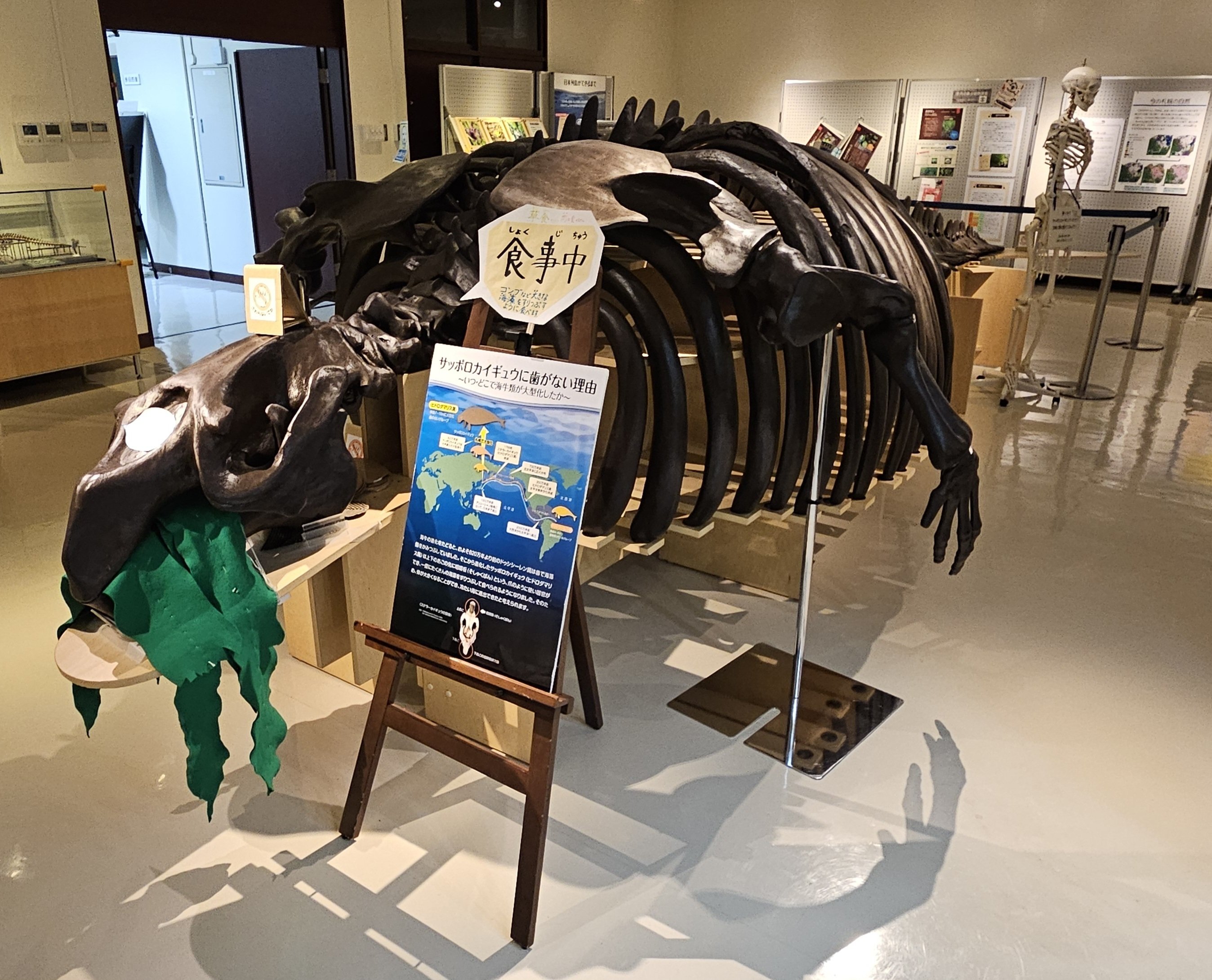 盾の国の建物(生物体) 盾の国の建物(生物体)