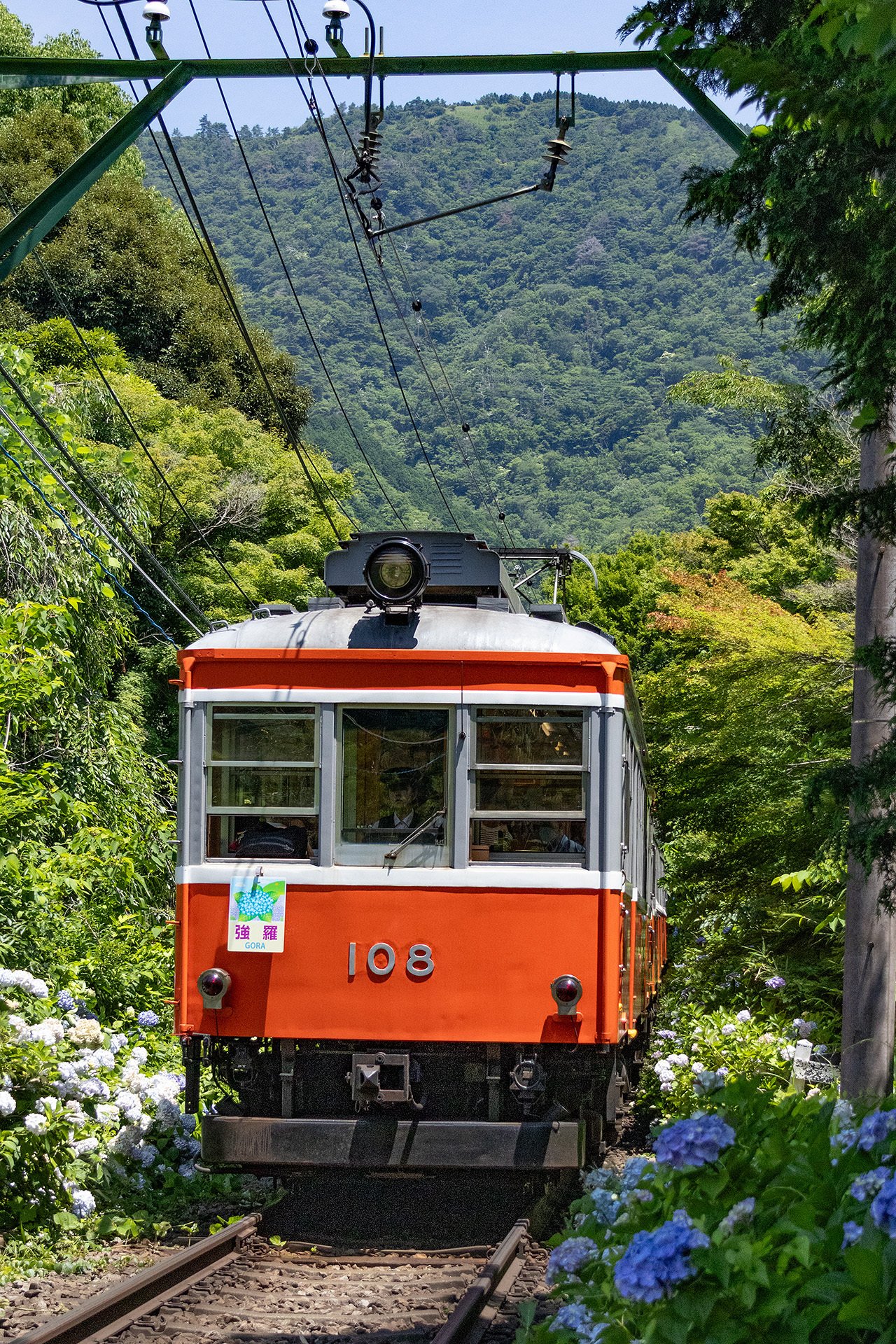 箱根登山鉄道 100型 車内禁煙板 実物 - メルカリ