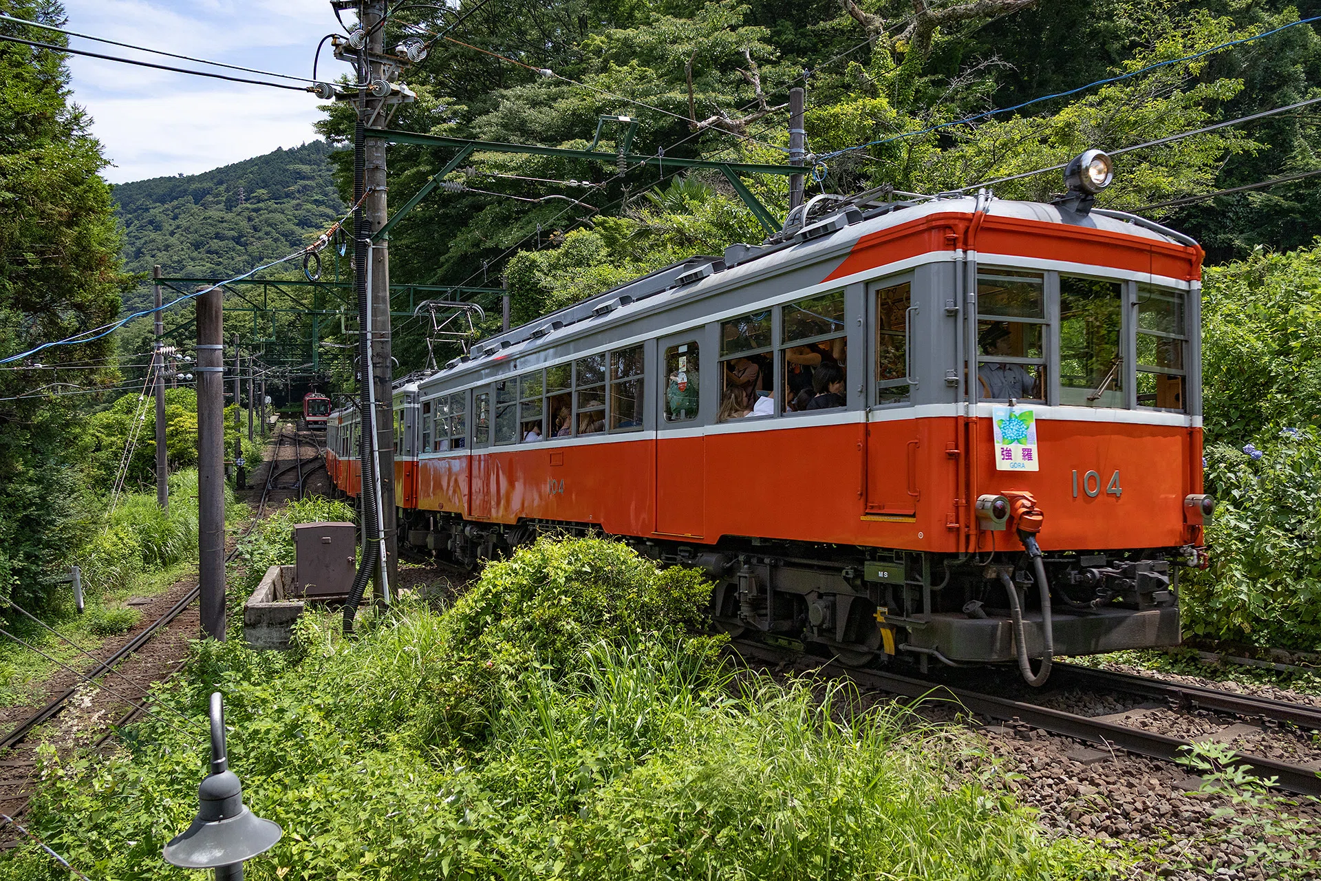 hosoやん v002, Hydrangeas and Trains (Hakone Tozan Railway)｜ひろやん