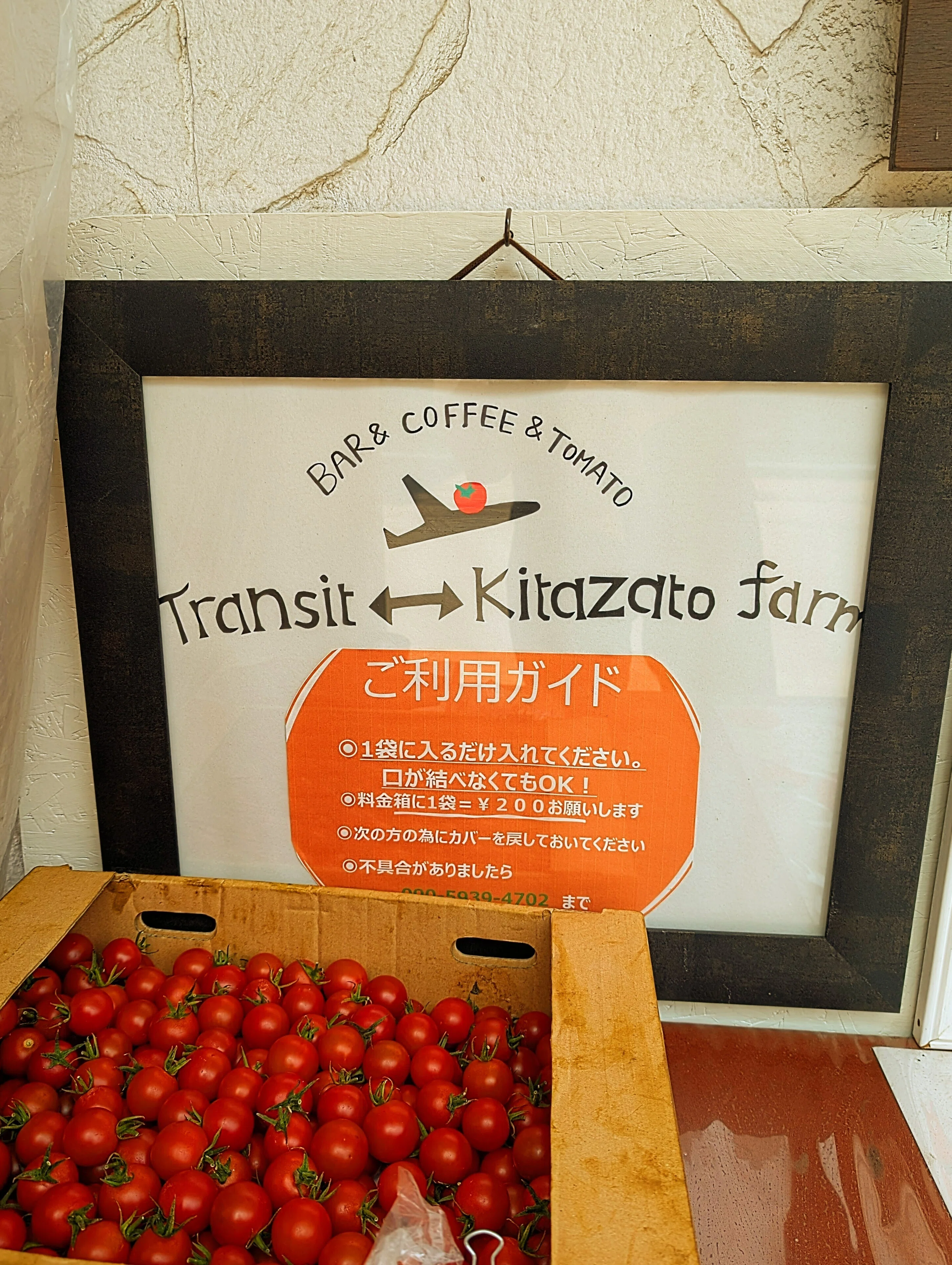 Unmanned Tomato Stand (Artwork Edition)｜transitkj