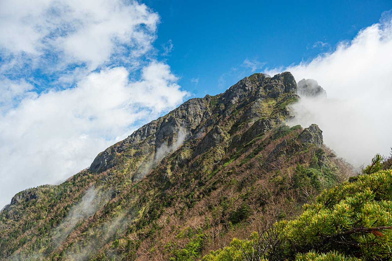 征露岳南武鑑 上 征露岳南武鑑 上 - メルカリ