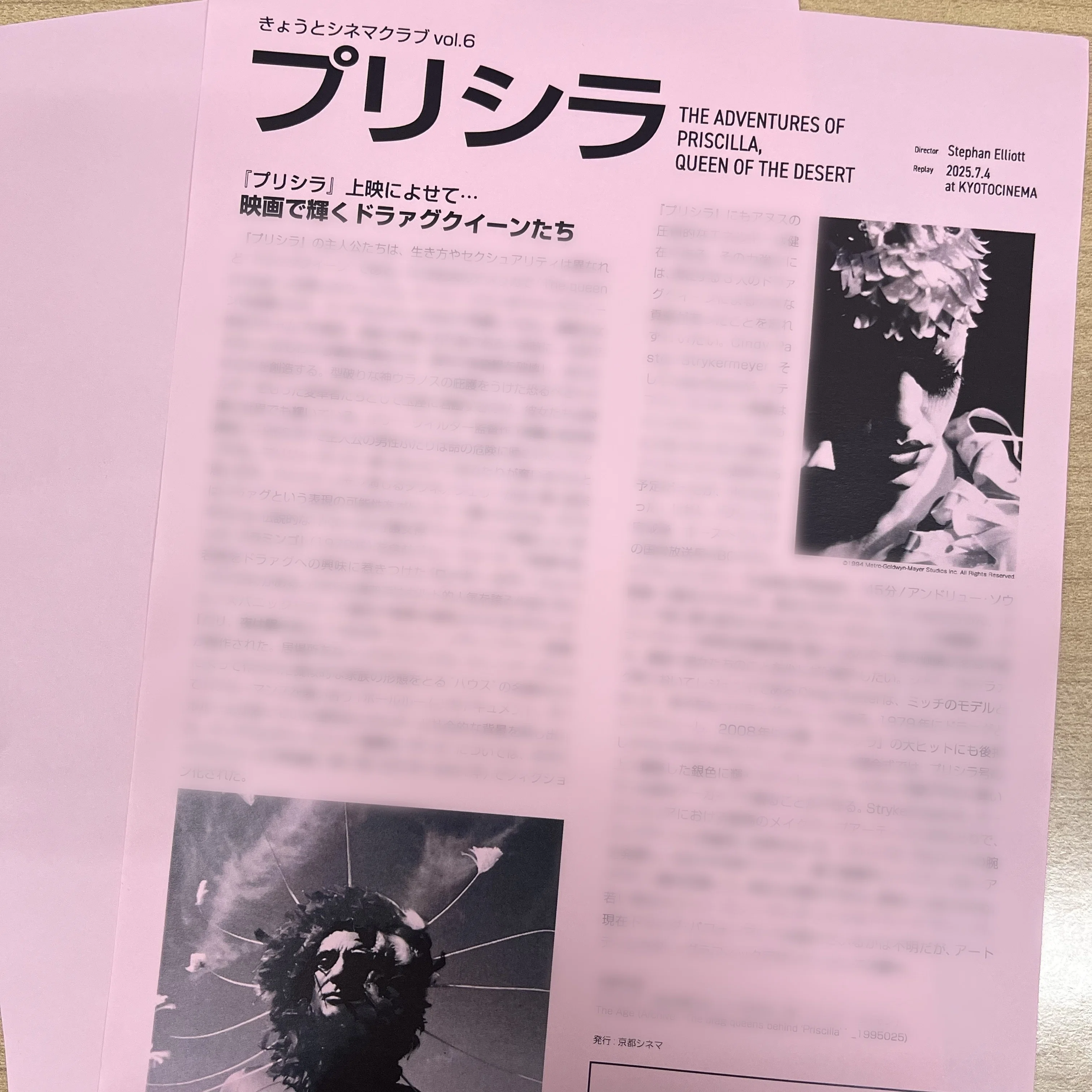 きょうとシネマクラブ〉vol.6『プリシラ』(1994年)上映のおしらせ*6/30
