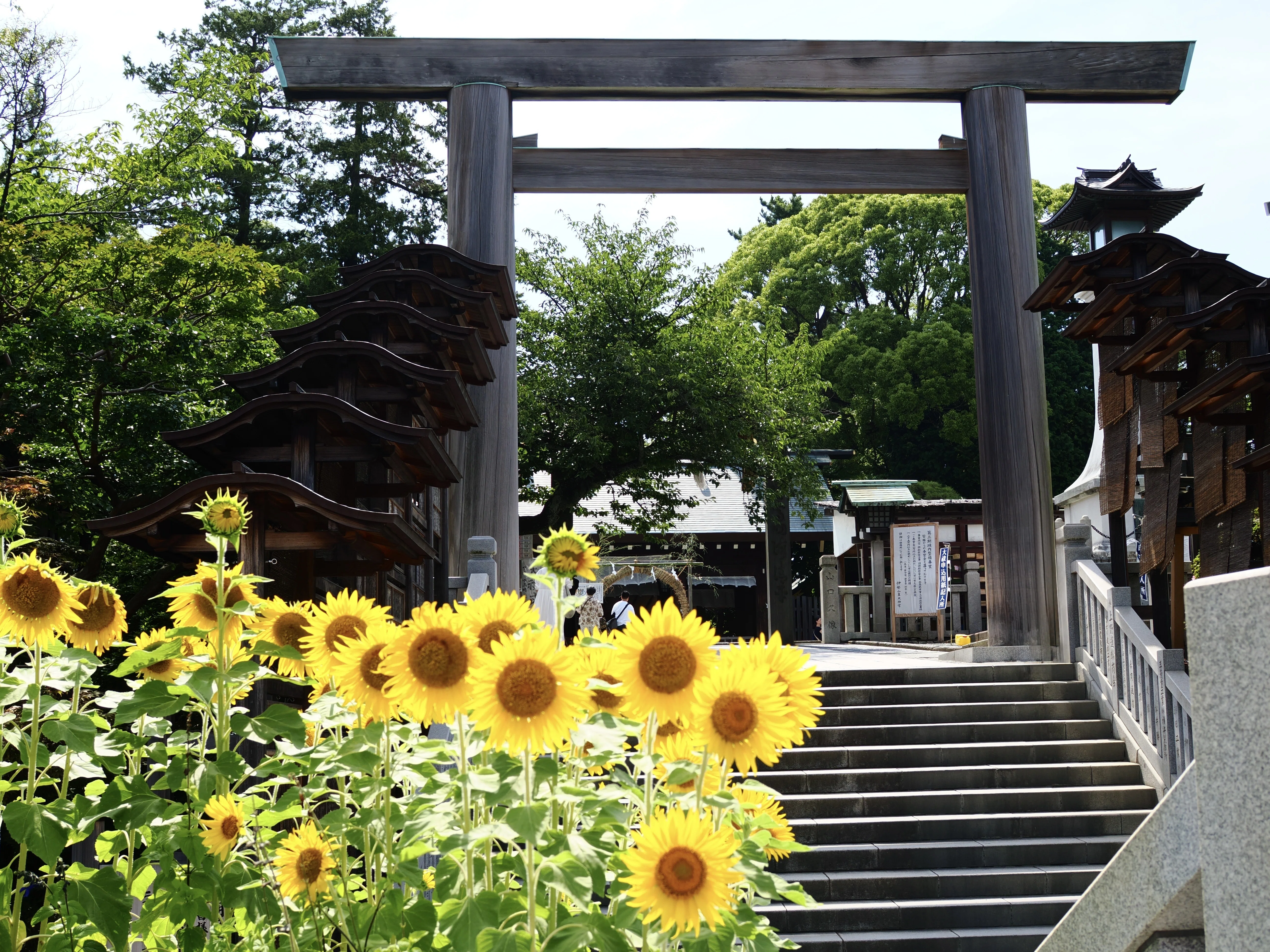 お伊勢さま古来より伝わる座敷わらし様の幸運引き寄せお迎えお金持ちへの道