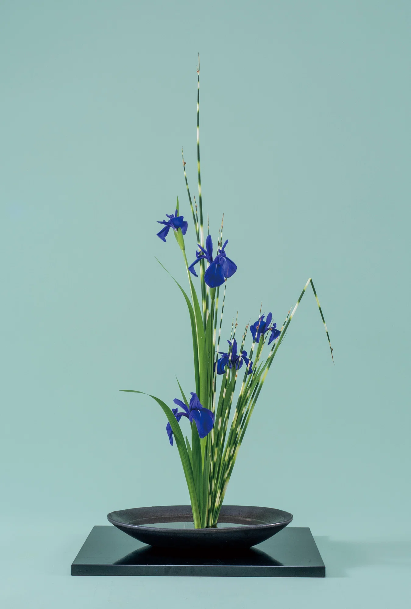 水辺の景色を思わせる涼やかな太藺とかきつばたの古典華＋いけばな