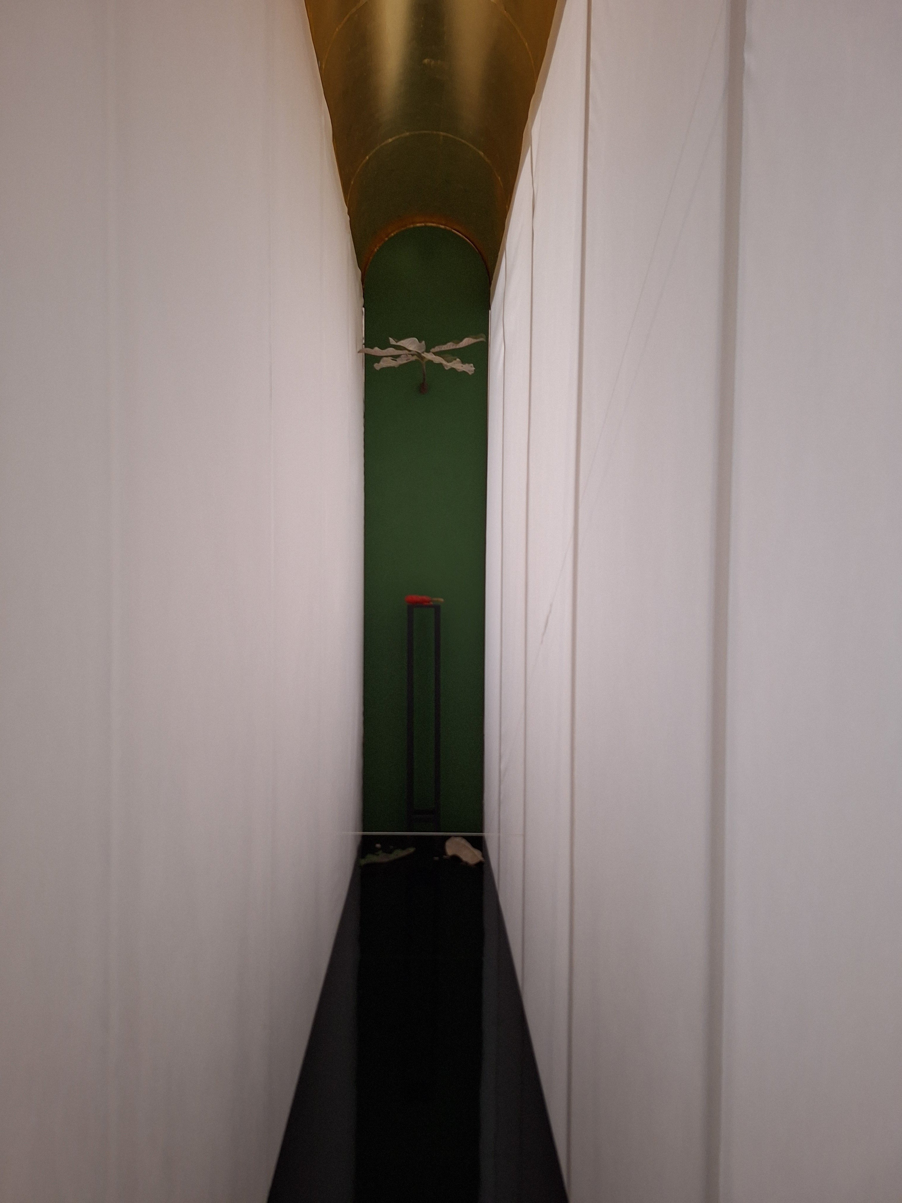 美術館に雑草が生えてる!？🌿】「須田悦弘」渋谷区立松涛美術館