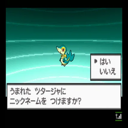 色違い記録】No.497 ジャローダ（Serperior）｜BK
