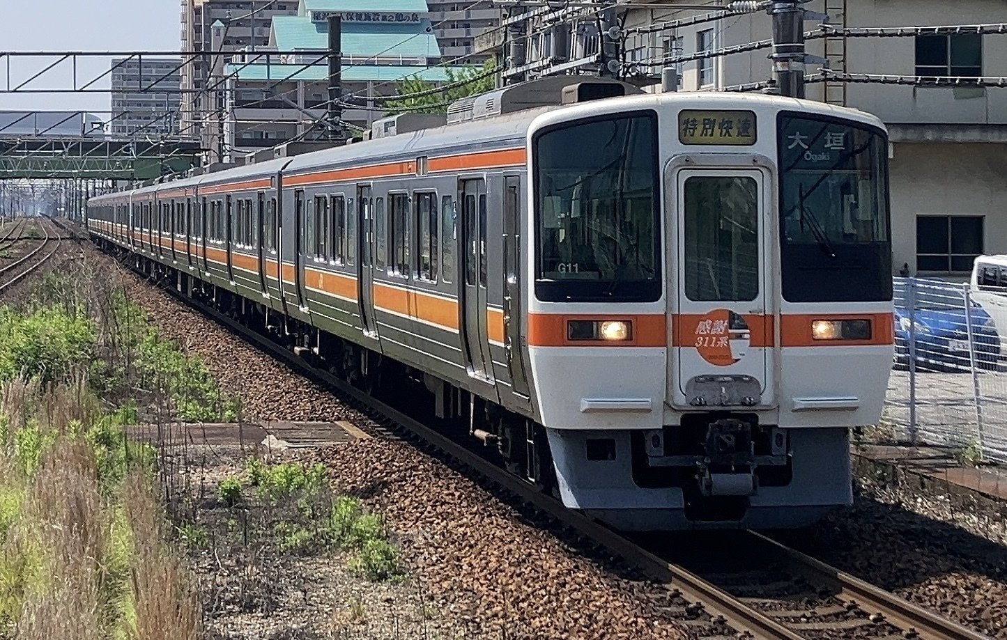 【はこぽす対応商品】 JR東海311系との思い出｜道産子 コレクション