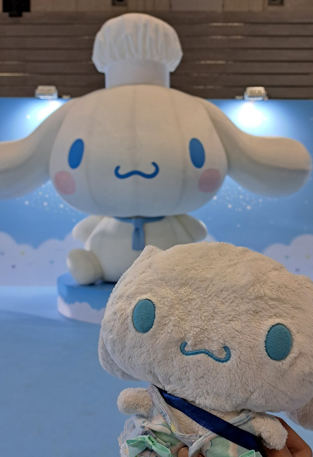 シナモン様2点おまとめ サンリオ シナモン シナモロール まとめ売り 最新