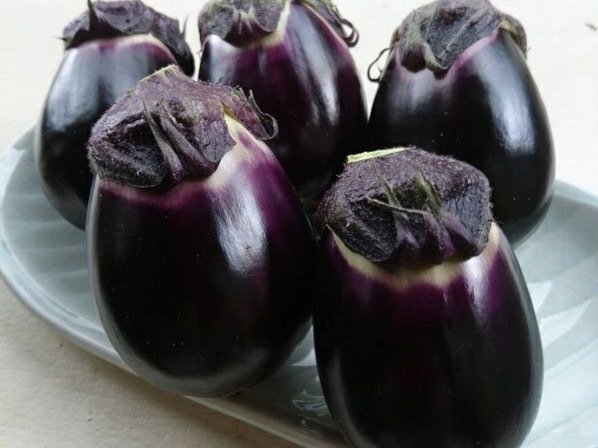 ナス 煮ても、焼いても、漬けてもOK！！新潟の“茄子”のポテンシャルに驚かさ