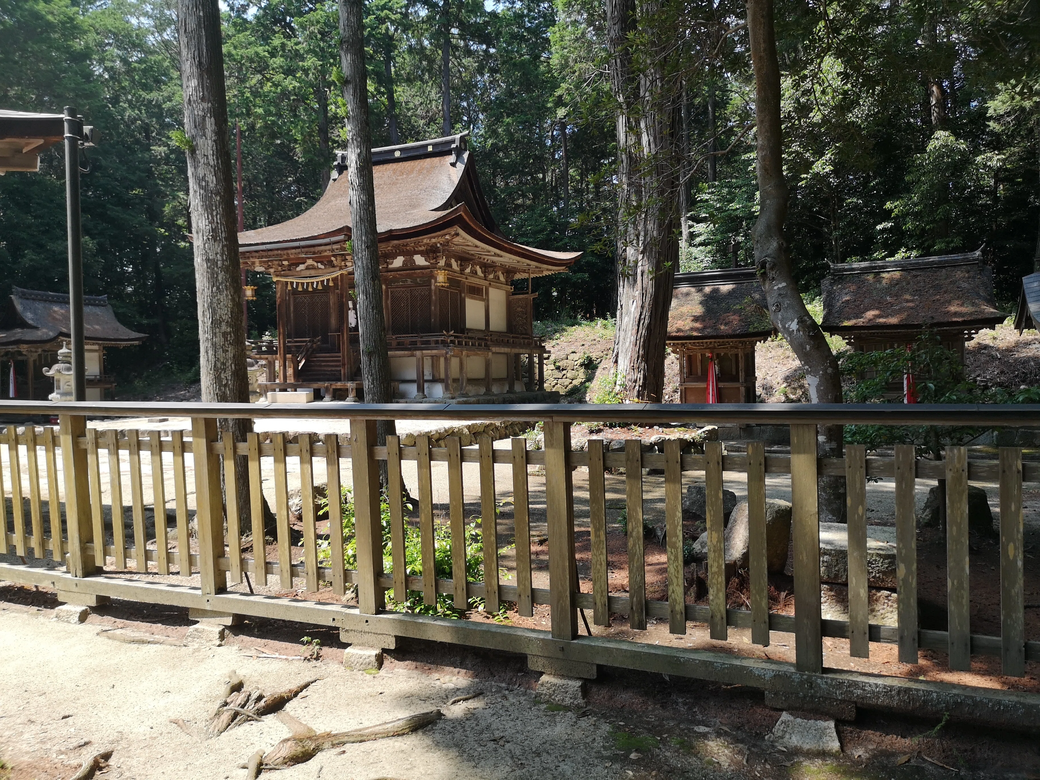 野洲の秘宝】金閣寺なみに古い国宝！大笹原神社の知られざる伝説と魅力