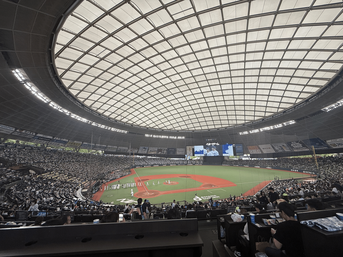 土日最終戦 9/28 内野指定B 2席一列 西武ライオンズVS福岡