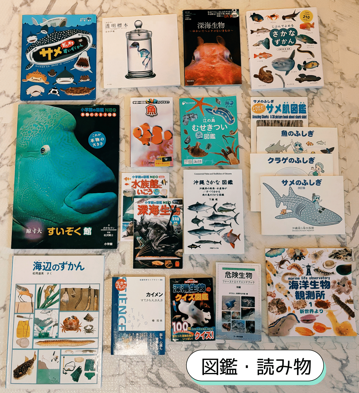 海・お魚好き向け絵本｜よい🌱こどもと楽しむ自然遊び/実験/絵本