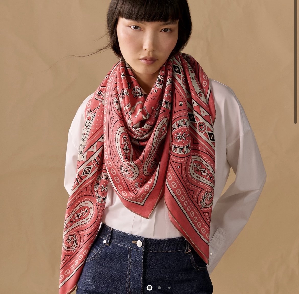 エルメス25aw解禁〜カシシル編〜｜あんな⌘エルメスで枠鞄買えた