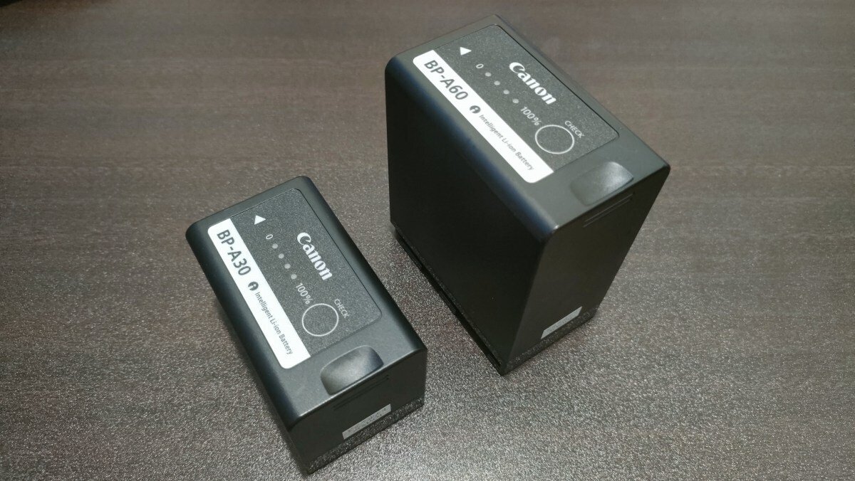 CANNON 一眼ビデオ C200 バッテリー、充電機、AC付 レンズ無し