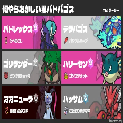 SV S31 最終827位 何やらおかしい黒バドパゴス｜がーみー