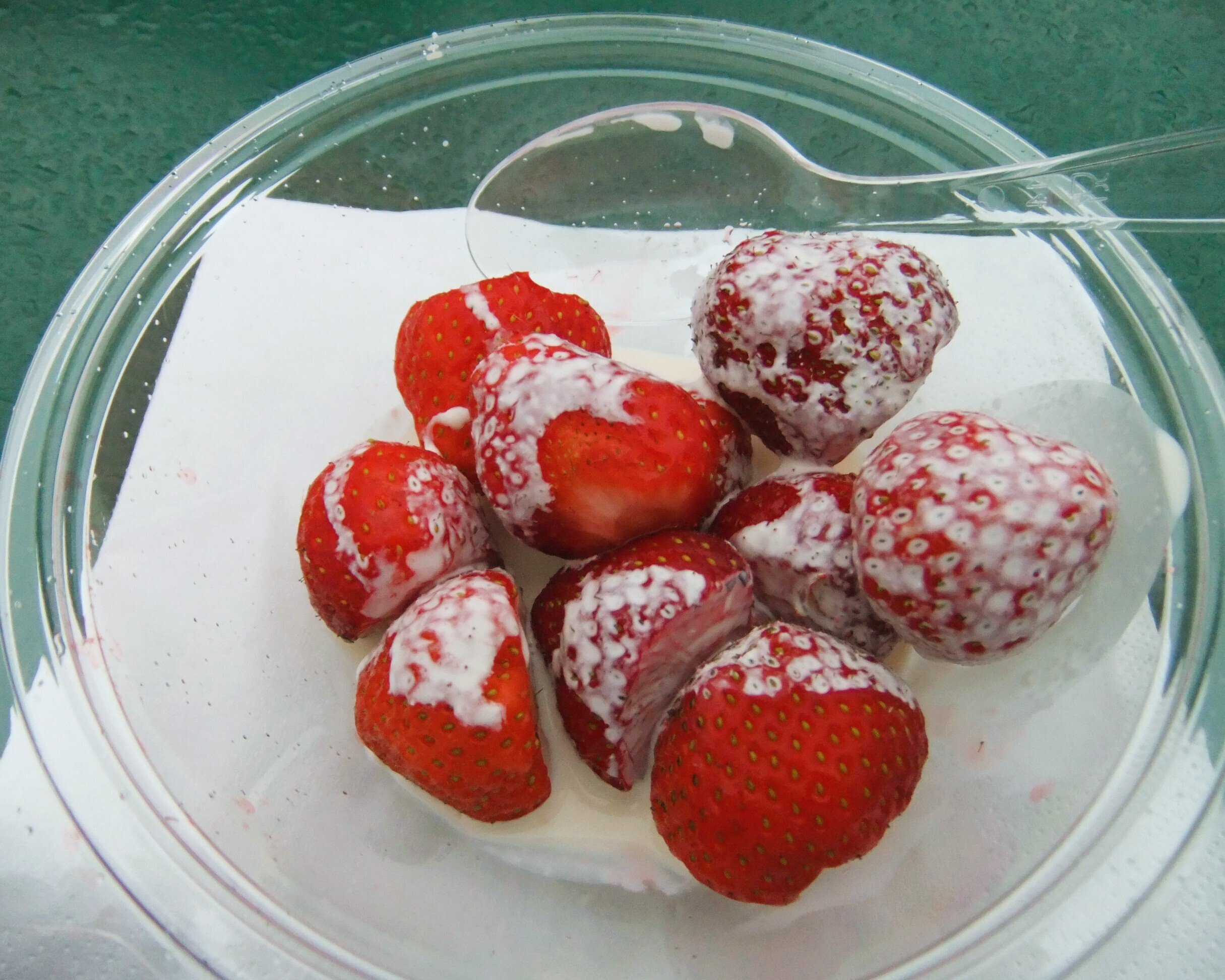 SW19の思い出 ～フェデラー選手へのあこがれを胸にウィンブルドン一人