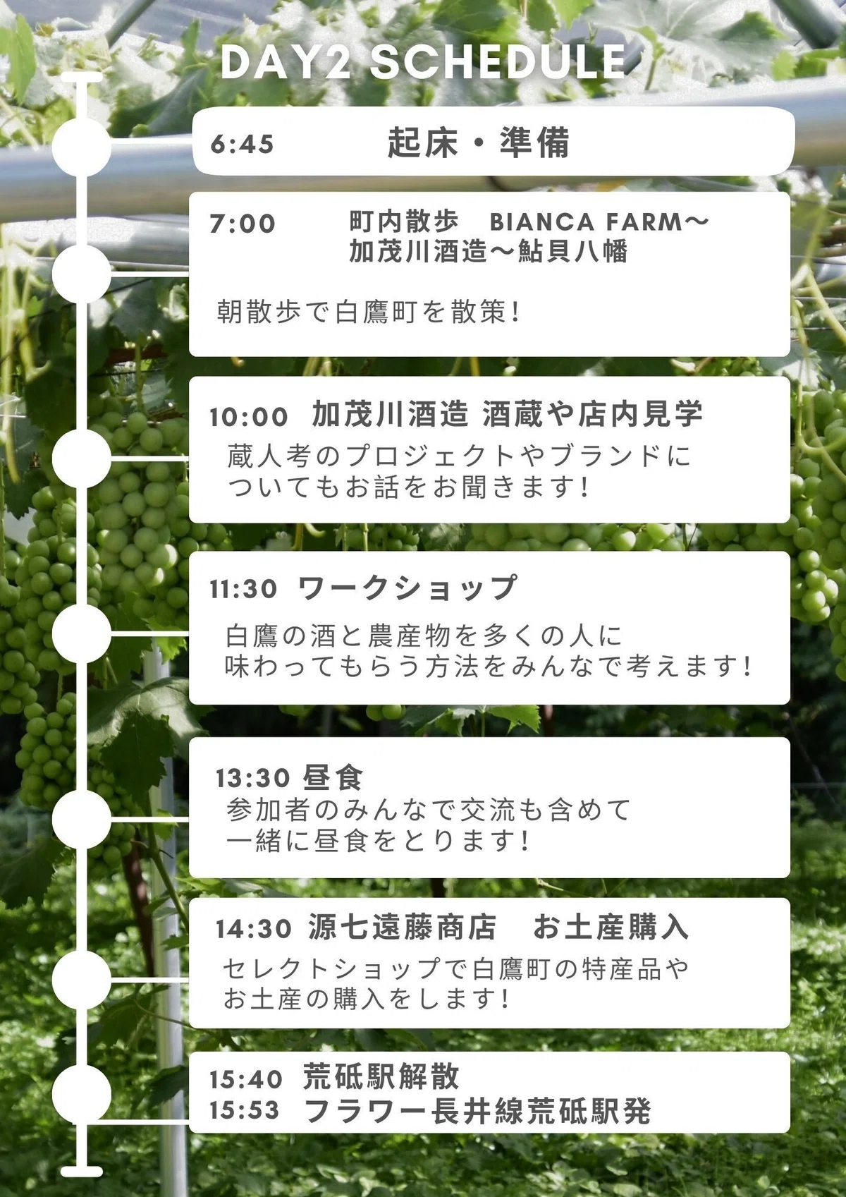土産品 山形県 白鷹町 グッズ しらたかレッド まとめ売り 5名限定！ホップ
