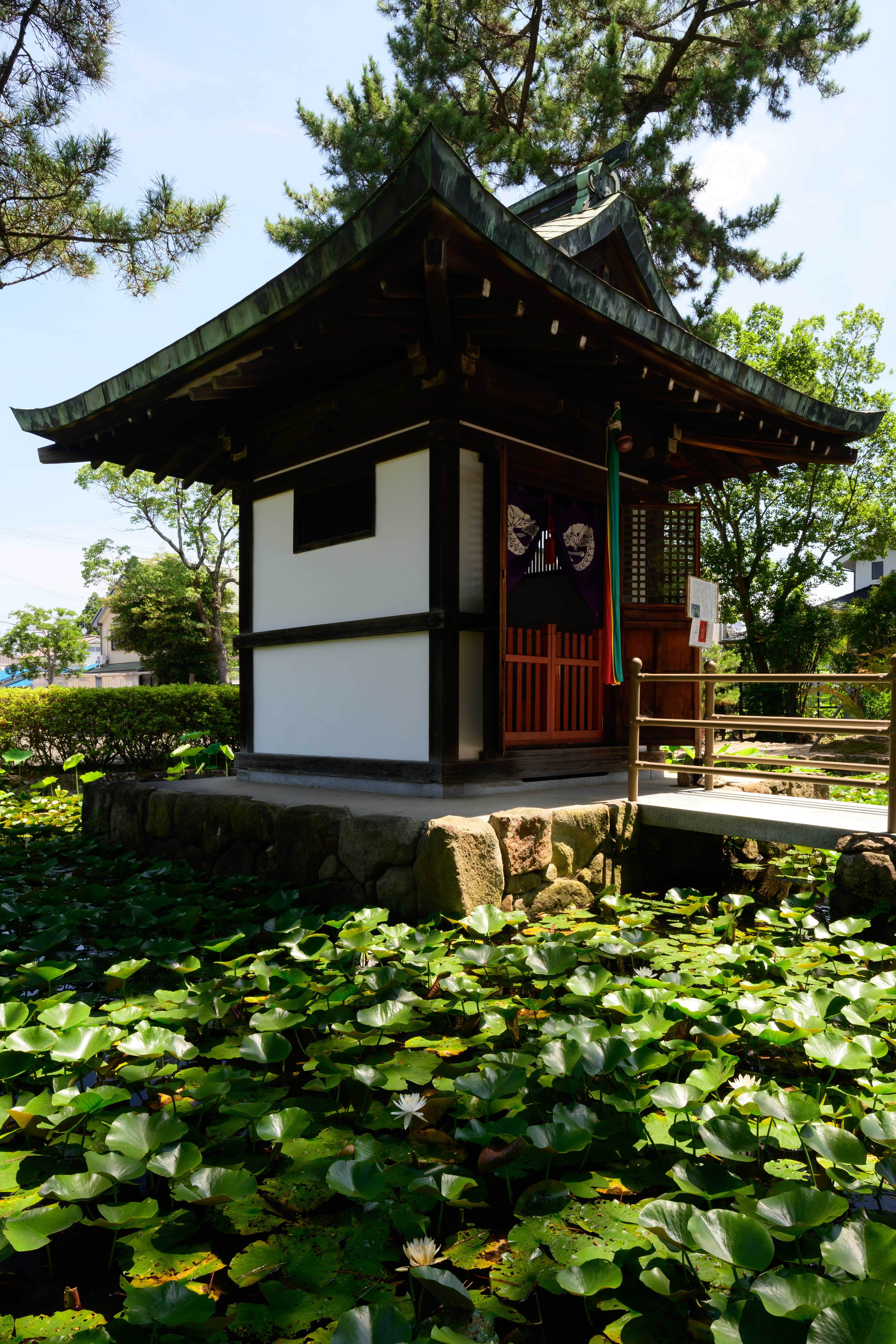 静寂に浮かぶ蓮華の彩り｜風景の物語を紡ぐ写真家カズ