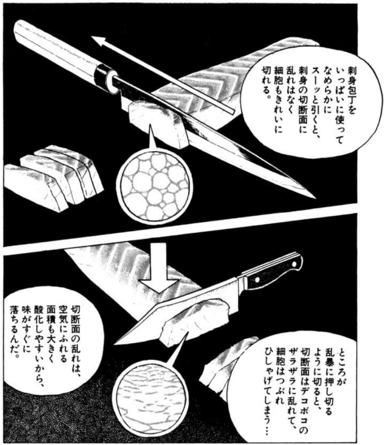 白身魚の刺身ばかり食べさせられる。美味しんぼ学2-5｜うめさん／美味讃
