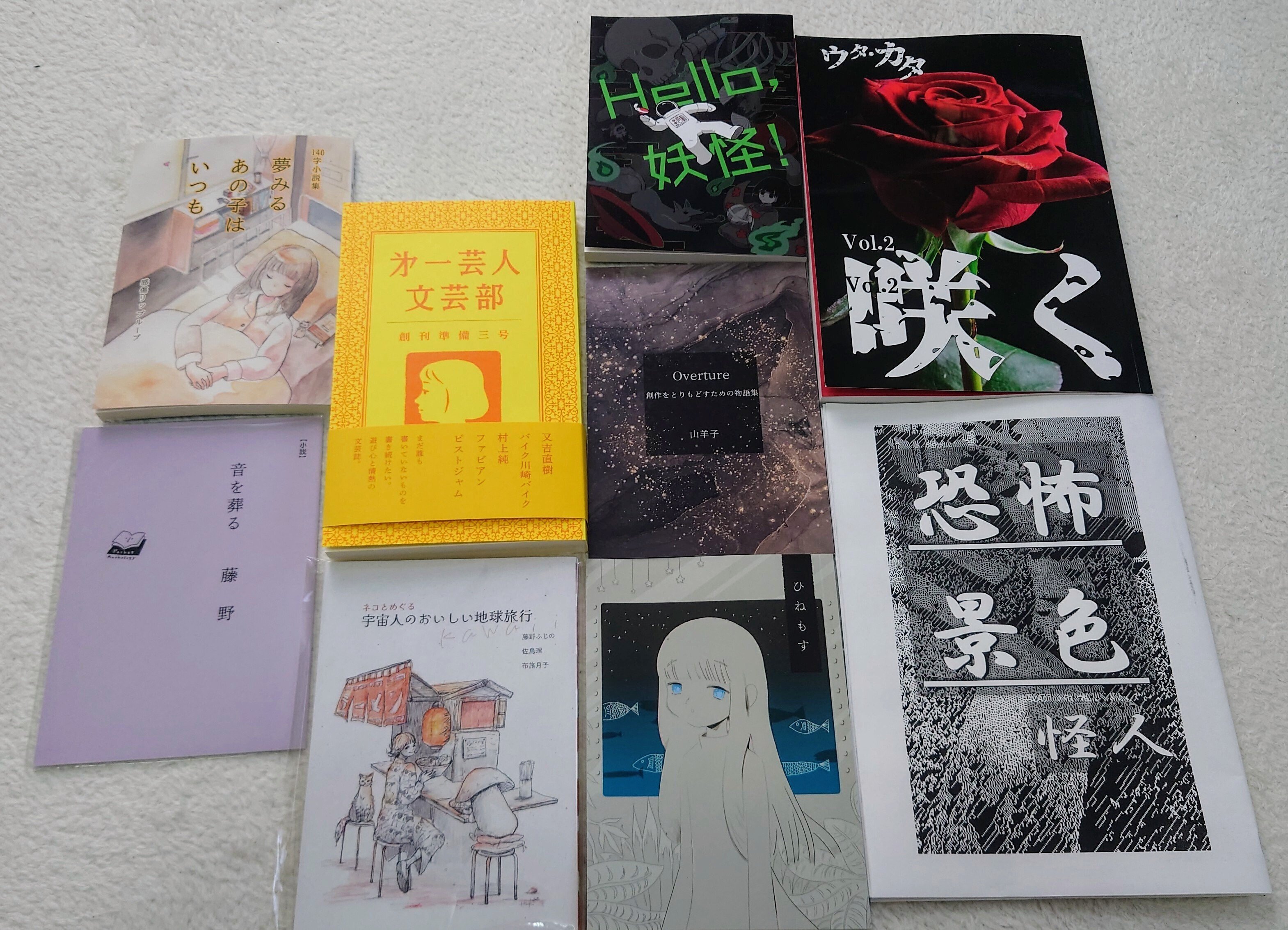 文学フリマ東京40の感想です。【文学フリマで買った本】｜東武