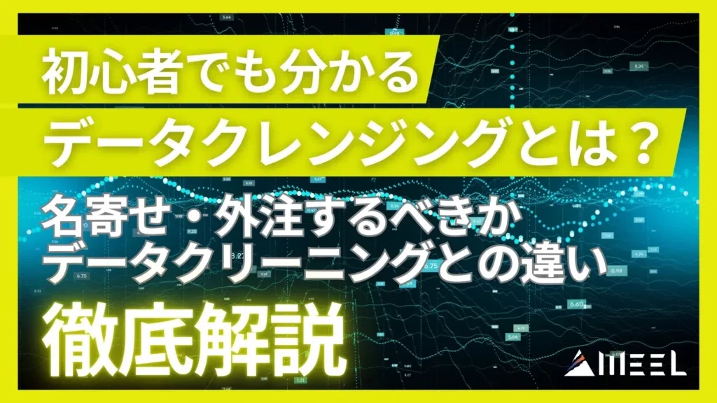 データクレンジング