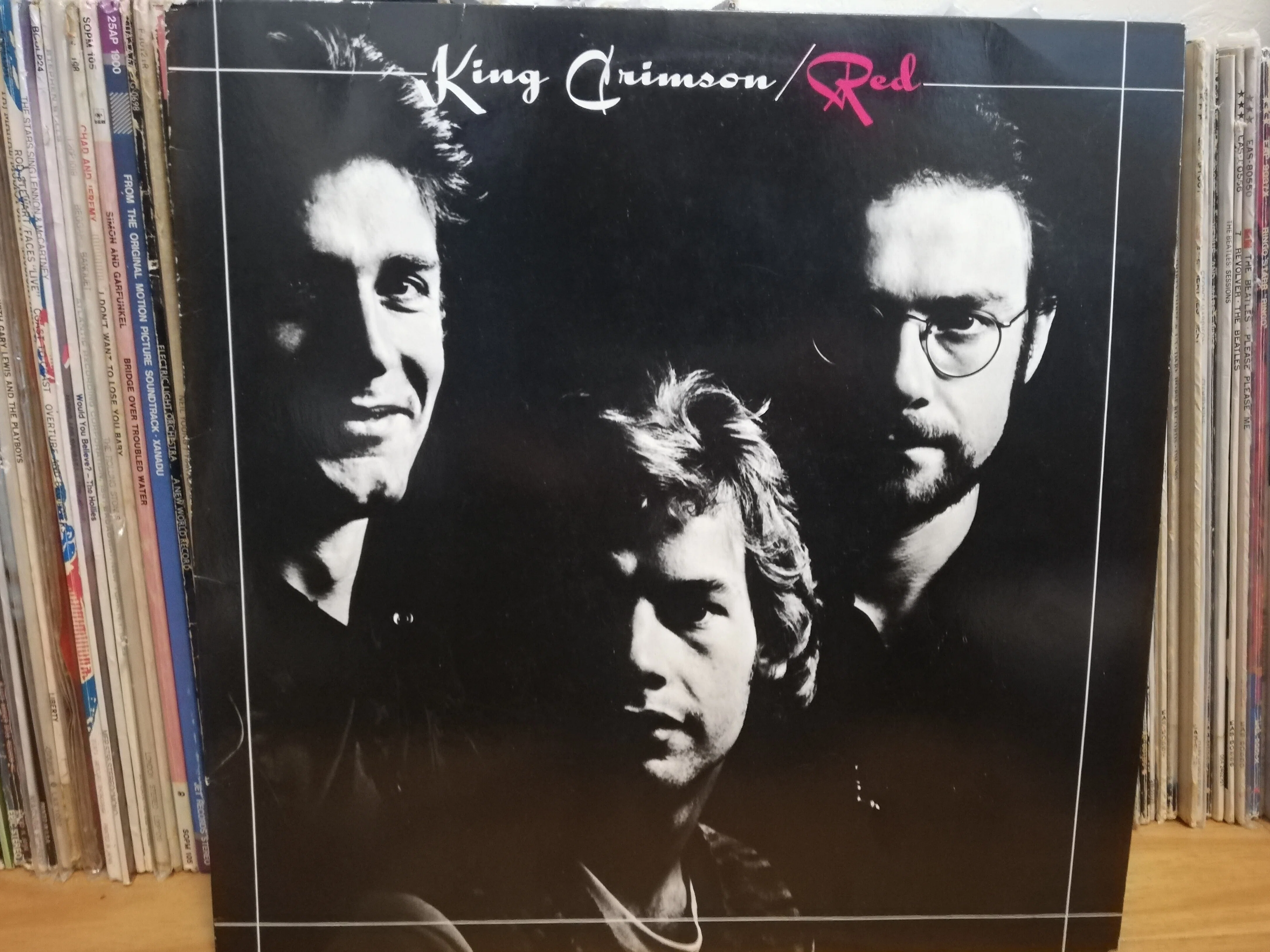 Court or Red? Why not both! - Can you avoid King Crimson?｜ごあ