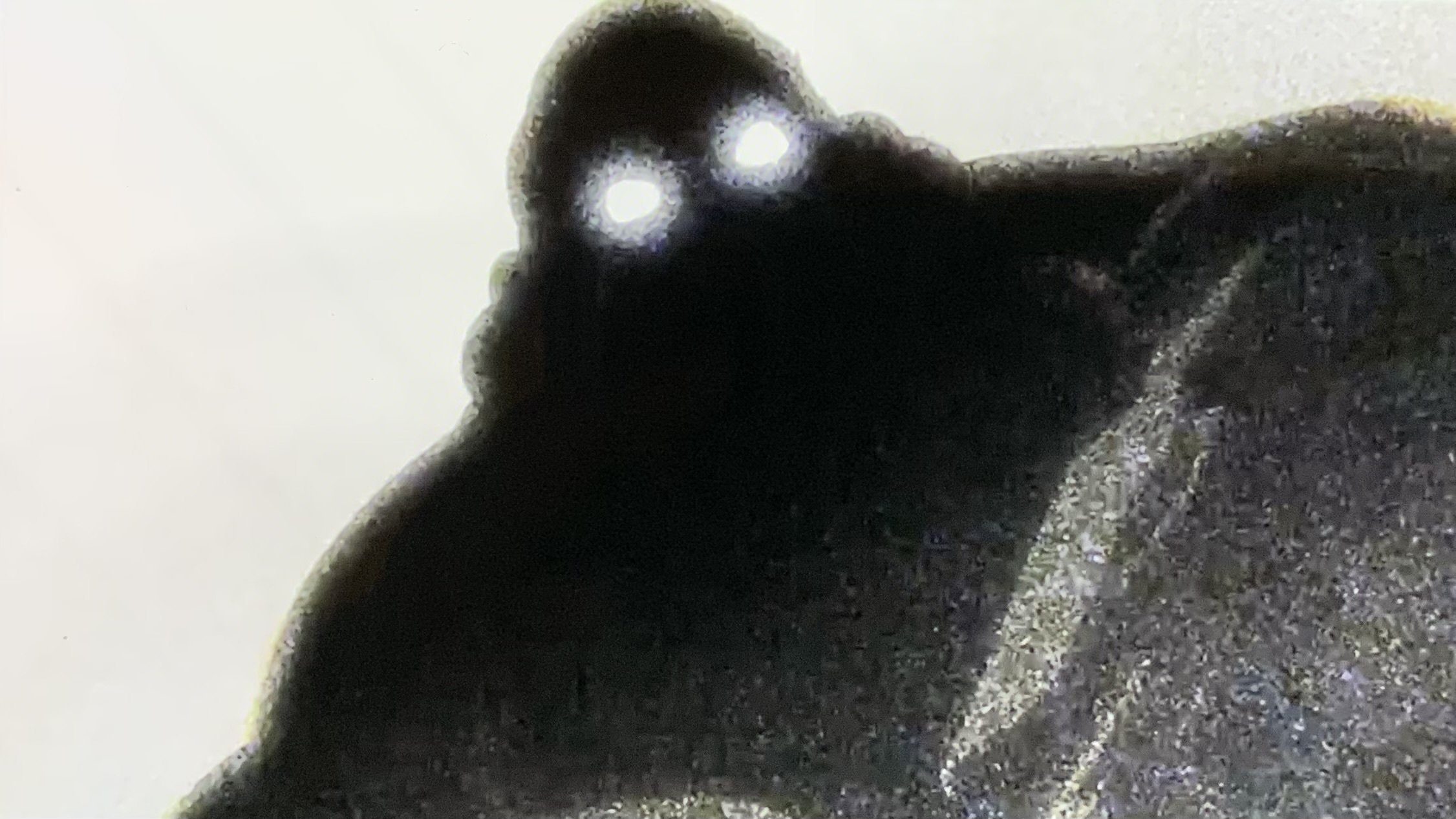 BLEACH構造考察：ミミハギ様とペルニダの真実。BLEACHが描いた自由の