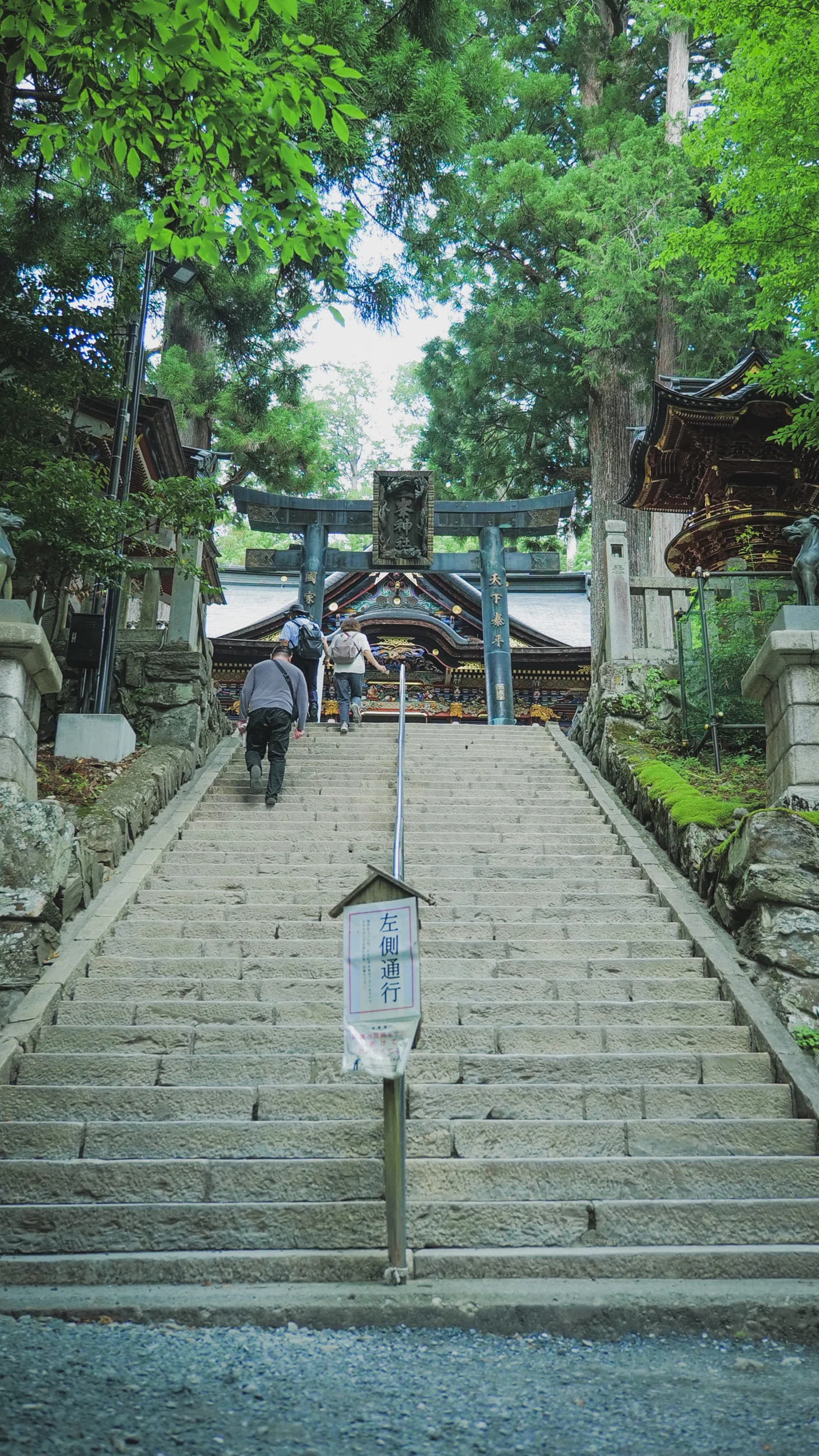 お参りに行ったら鹿の家族とエンカウントした話｜画家 島村由希