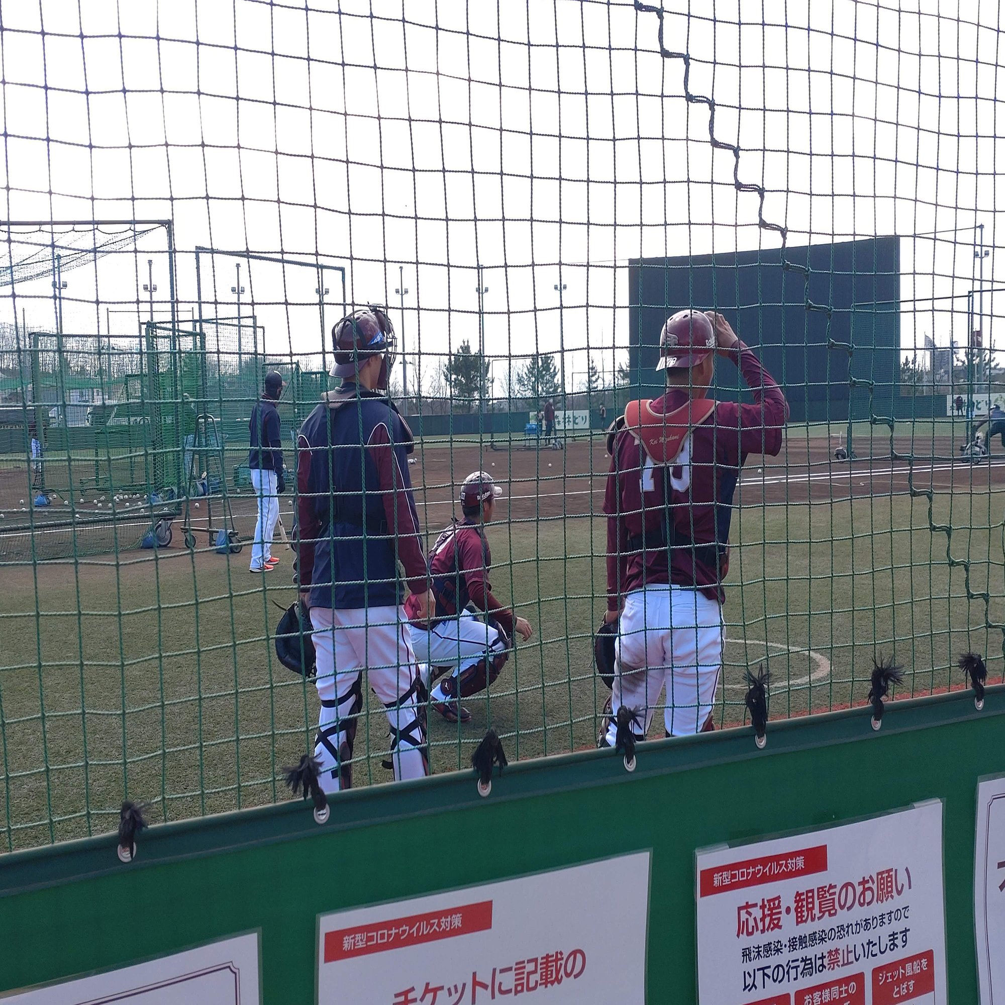 マイクタイソン直筆サイン, image size:2000x1500