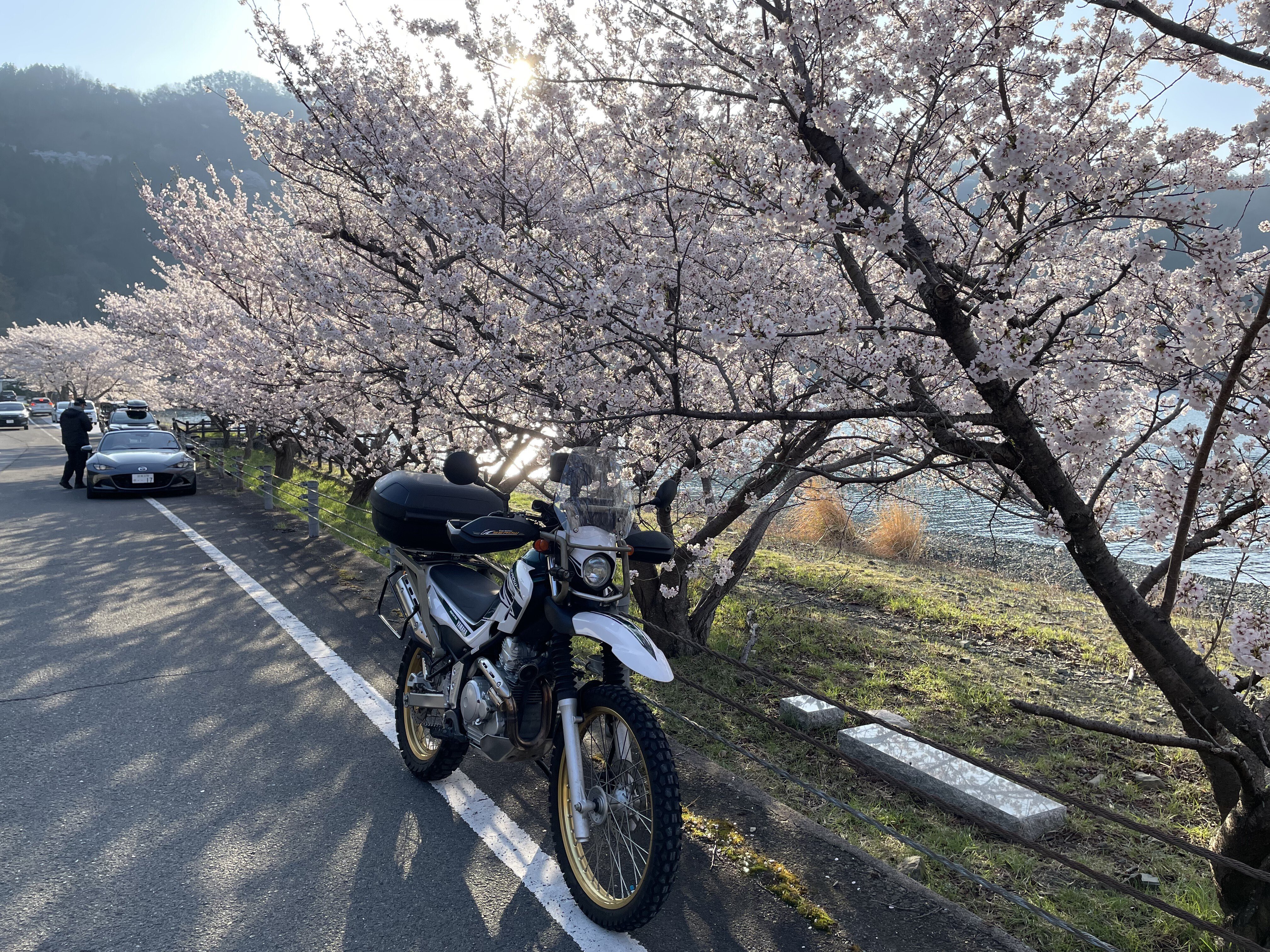 超久しぶりに奥琵琶湖に行ってきた｜Hirokazu Nishi