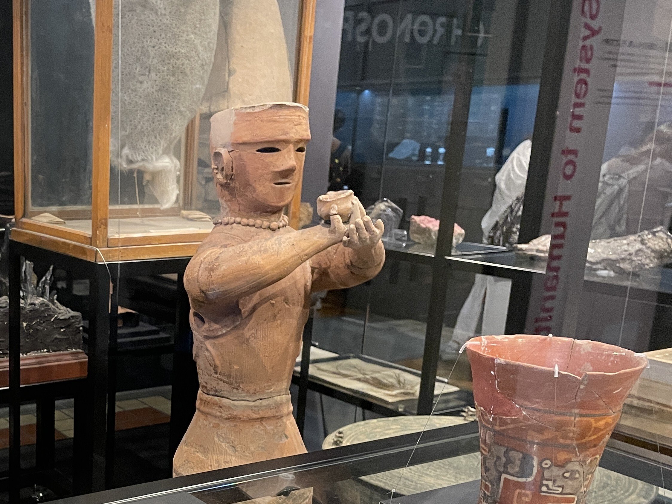 すごい博物館002】東京大学総合研究博物館：最高学府130年の歴史的