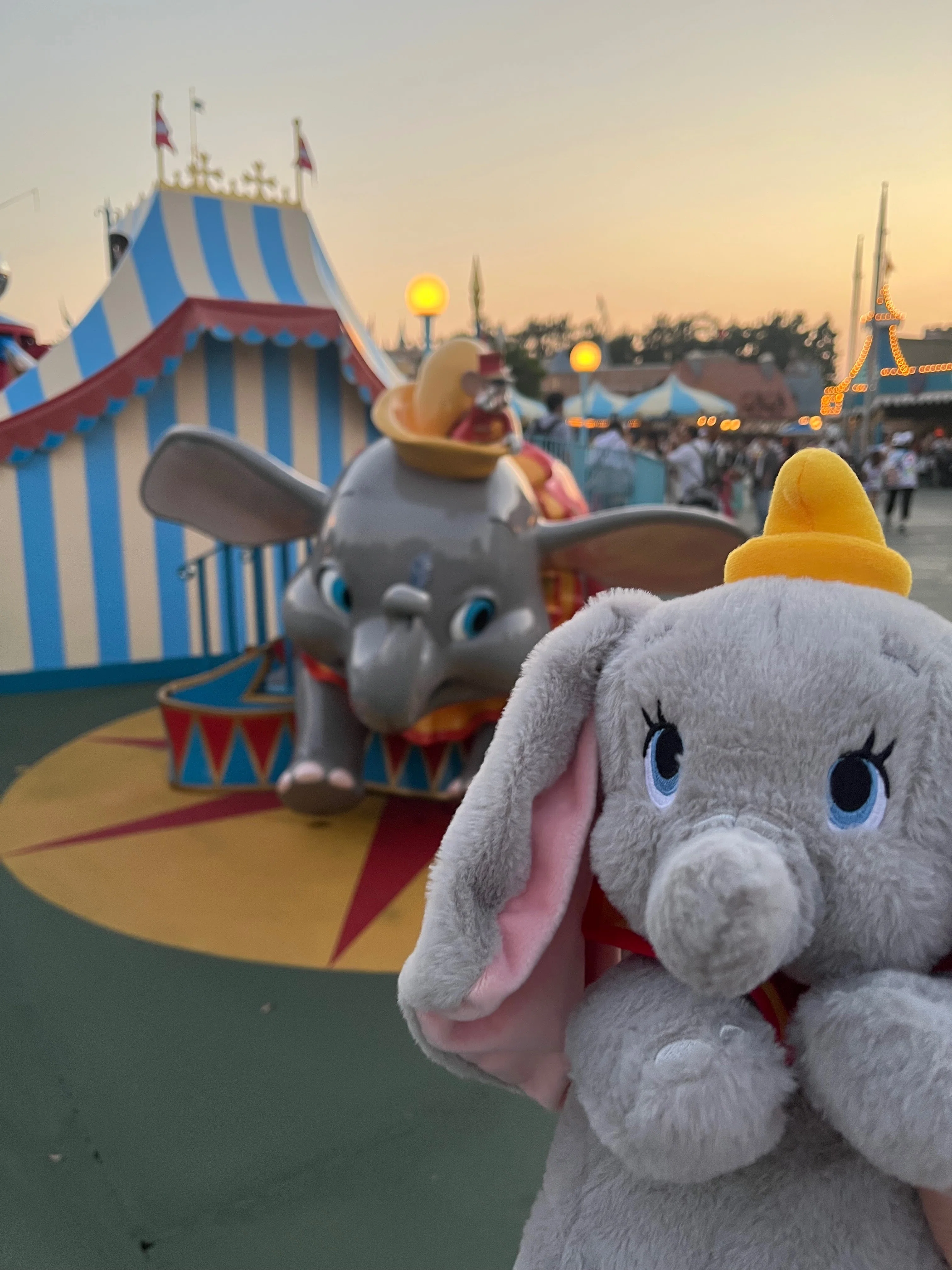 Early Summer Dumbo Greeting (Tentative)｜ダンボオタク