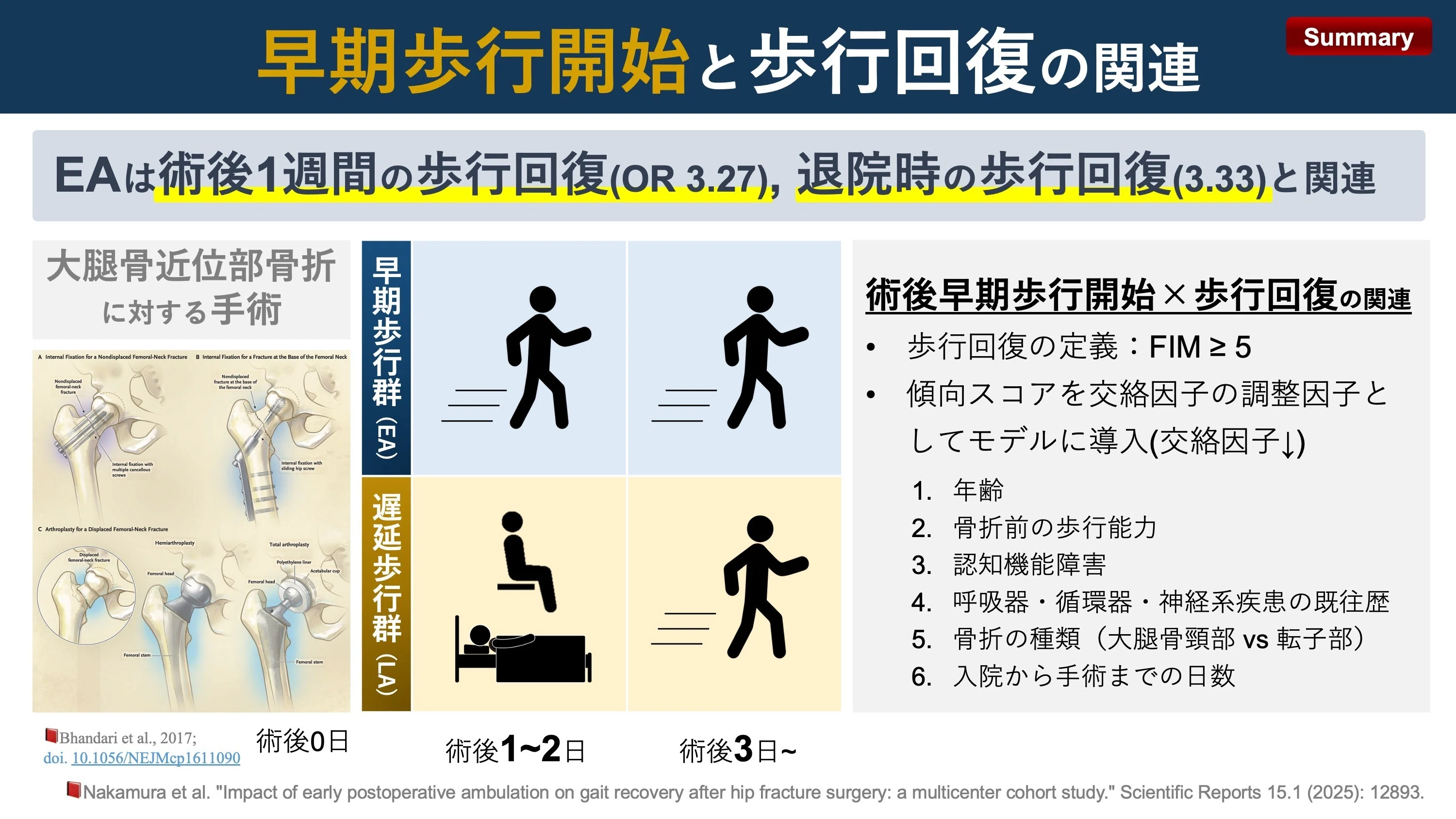 大腿骨近位部骨折術後の早期歩行開始と歩行回復の関連｜Super Human