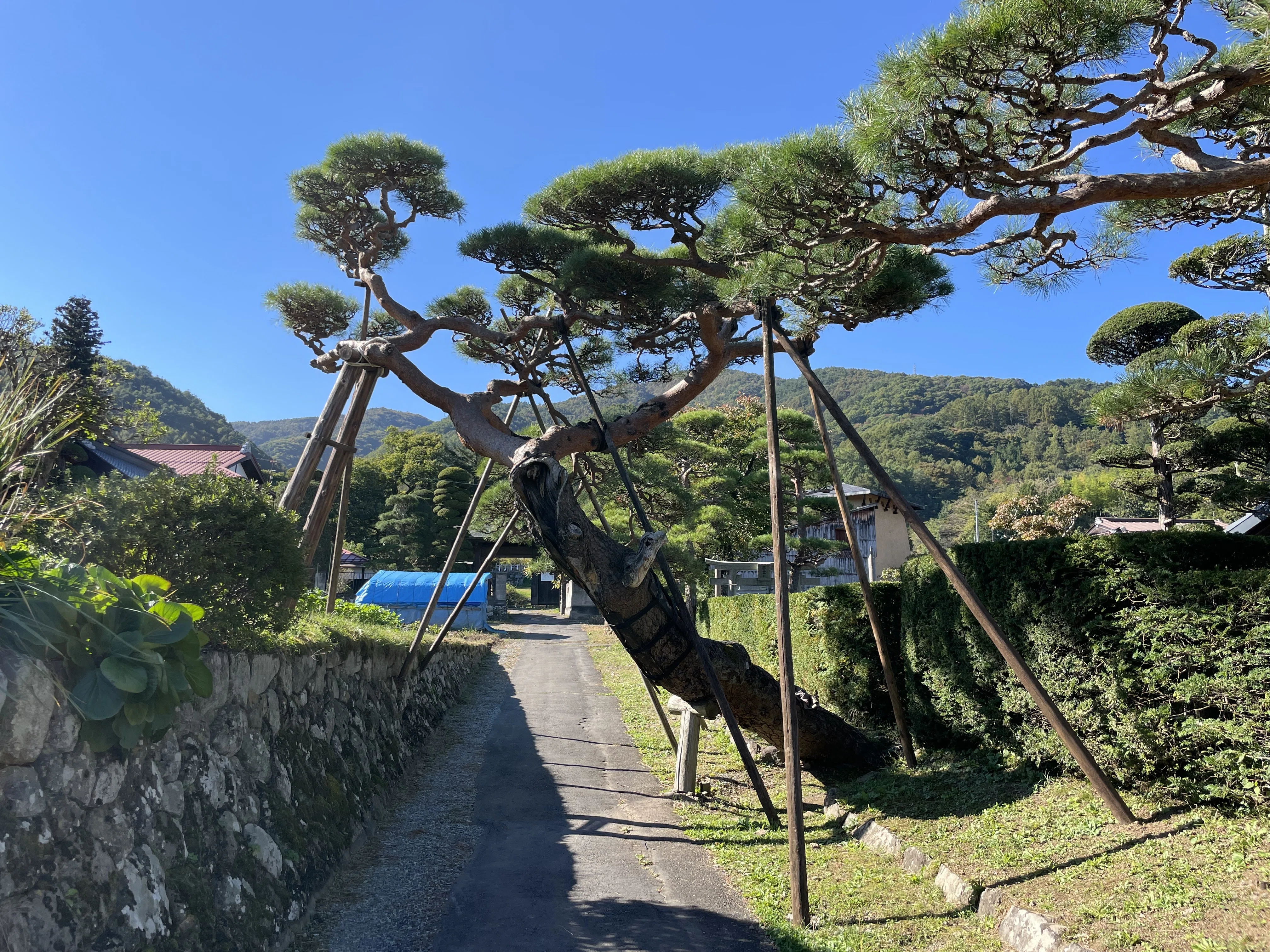 地域に同化する建築は、素朴なようで実は骨太！【神長官守矢史料館