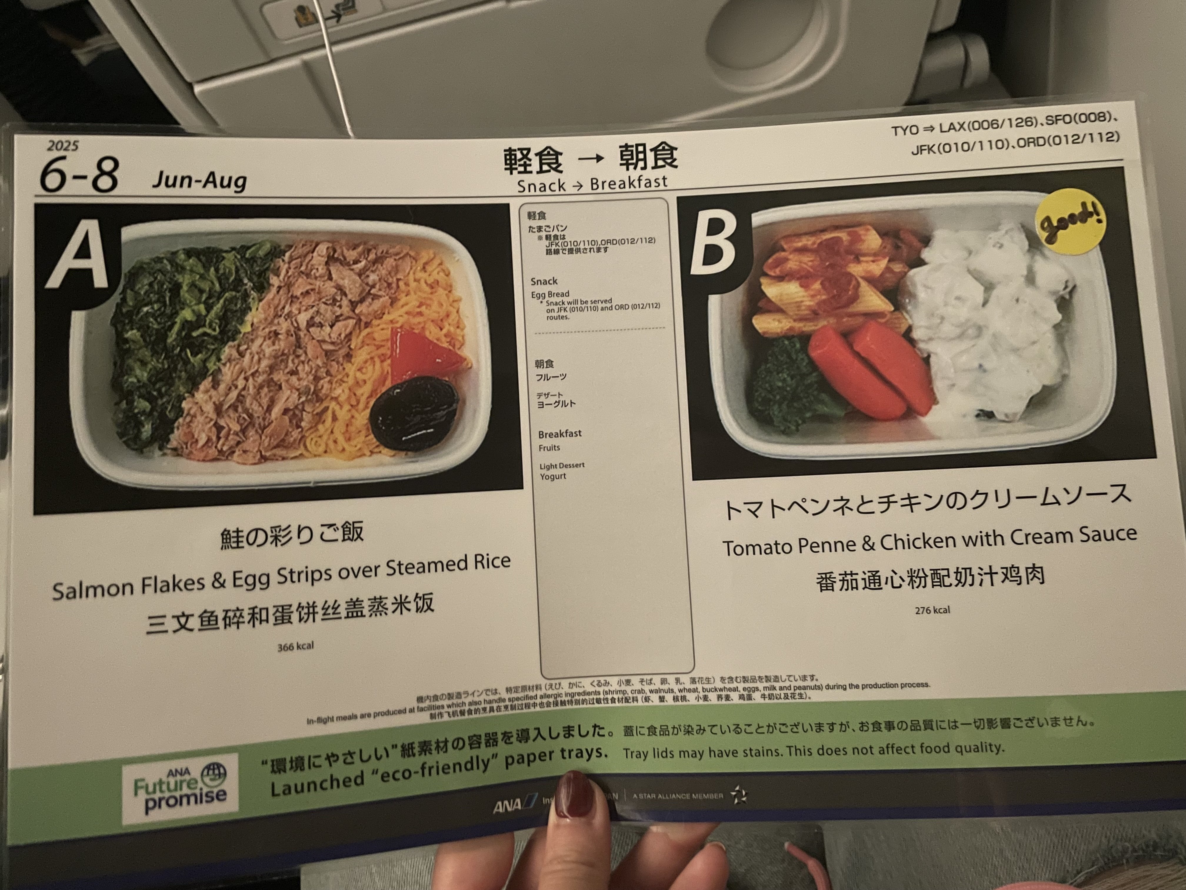 本帰国】手荷物に入れずに失敗したもの | 駐在妻の極意～帰国