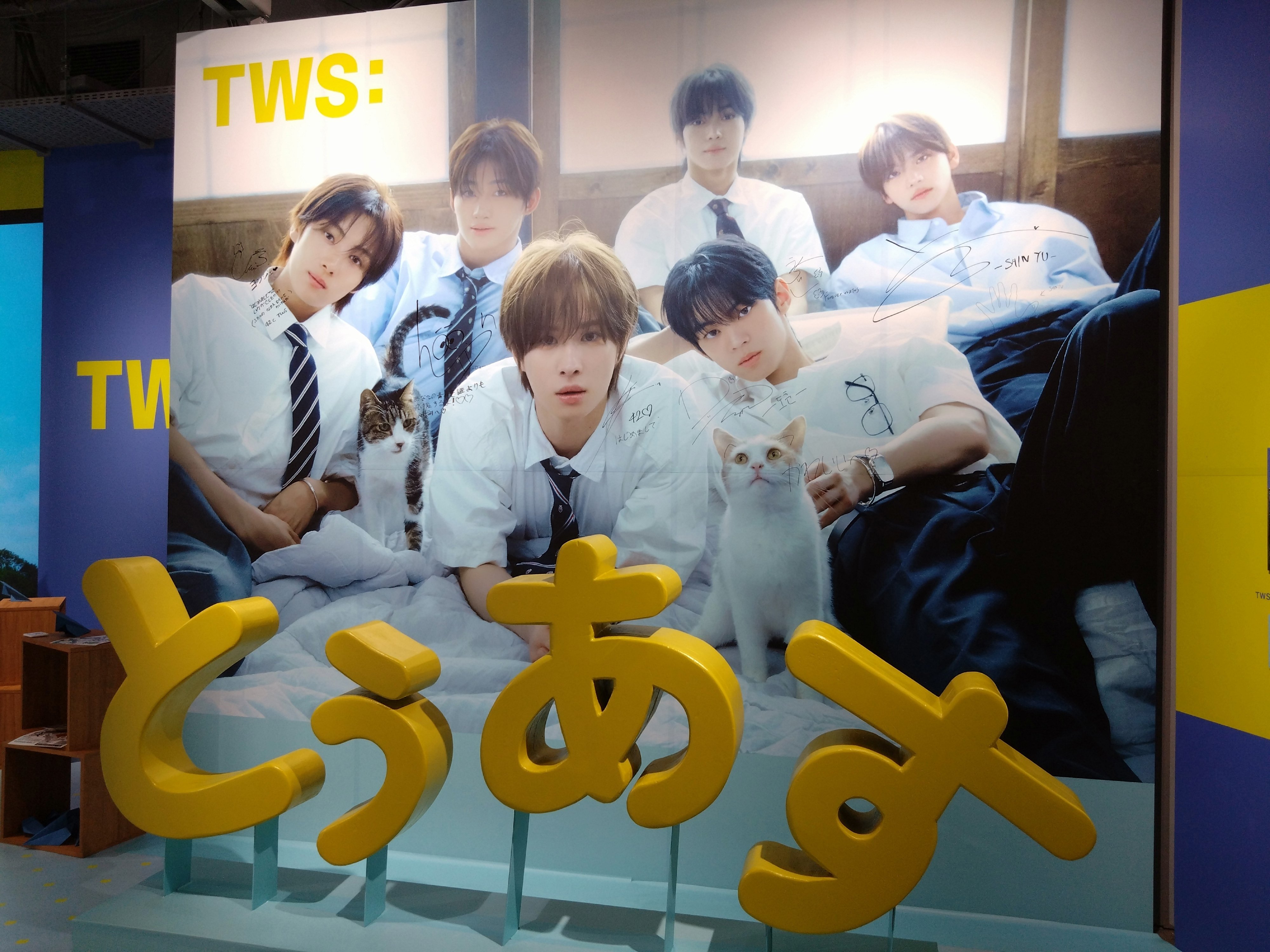 【匿名配送】TWS シニュ ポップアップ 9点セット POPUP｜Oh!chan