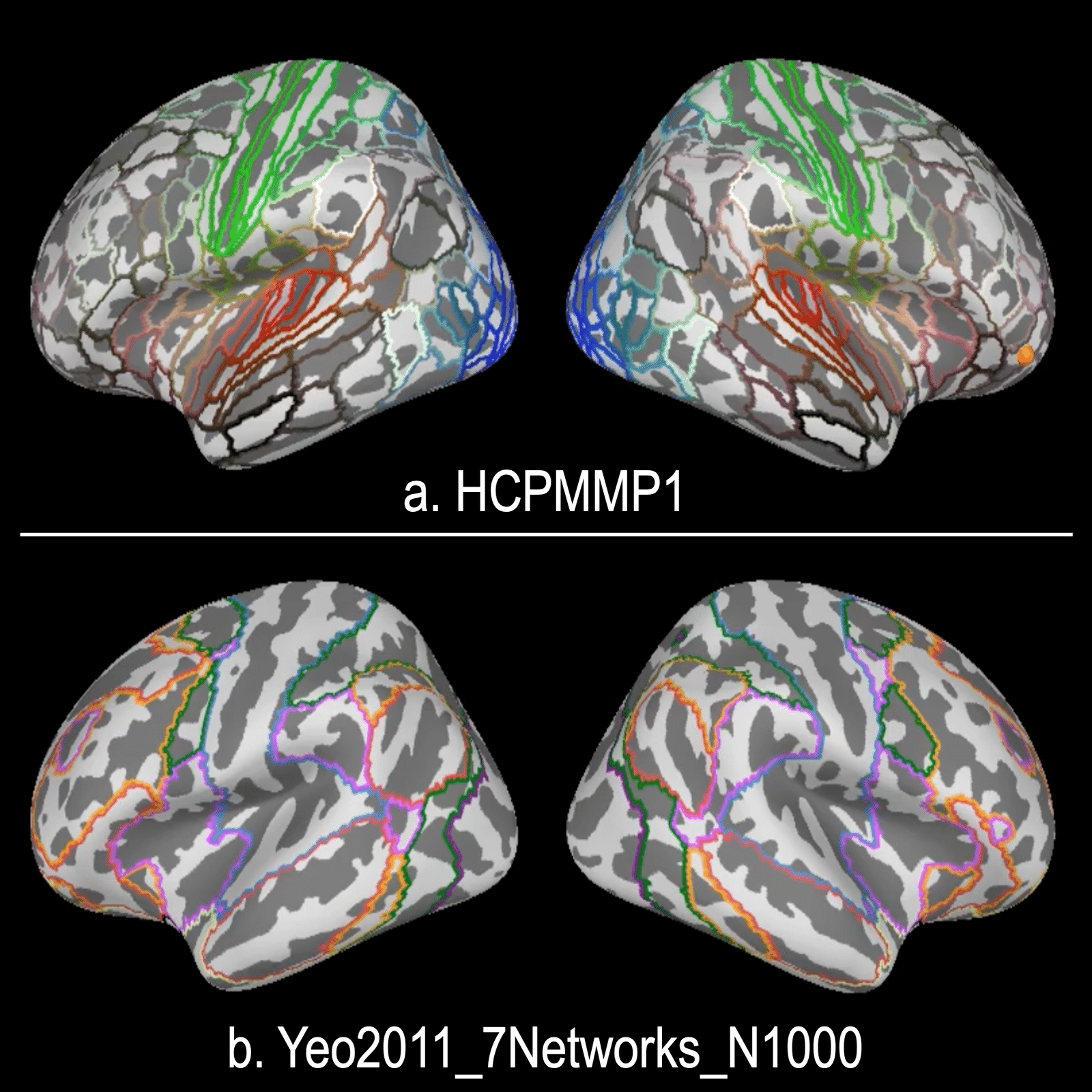 脳・生体データの解析と可視化: EEGによる信号源推定｜アラヤシキ