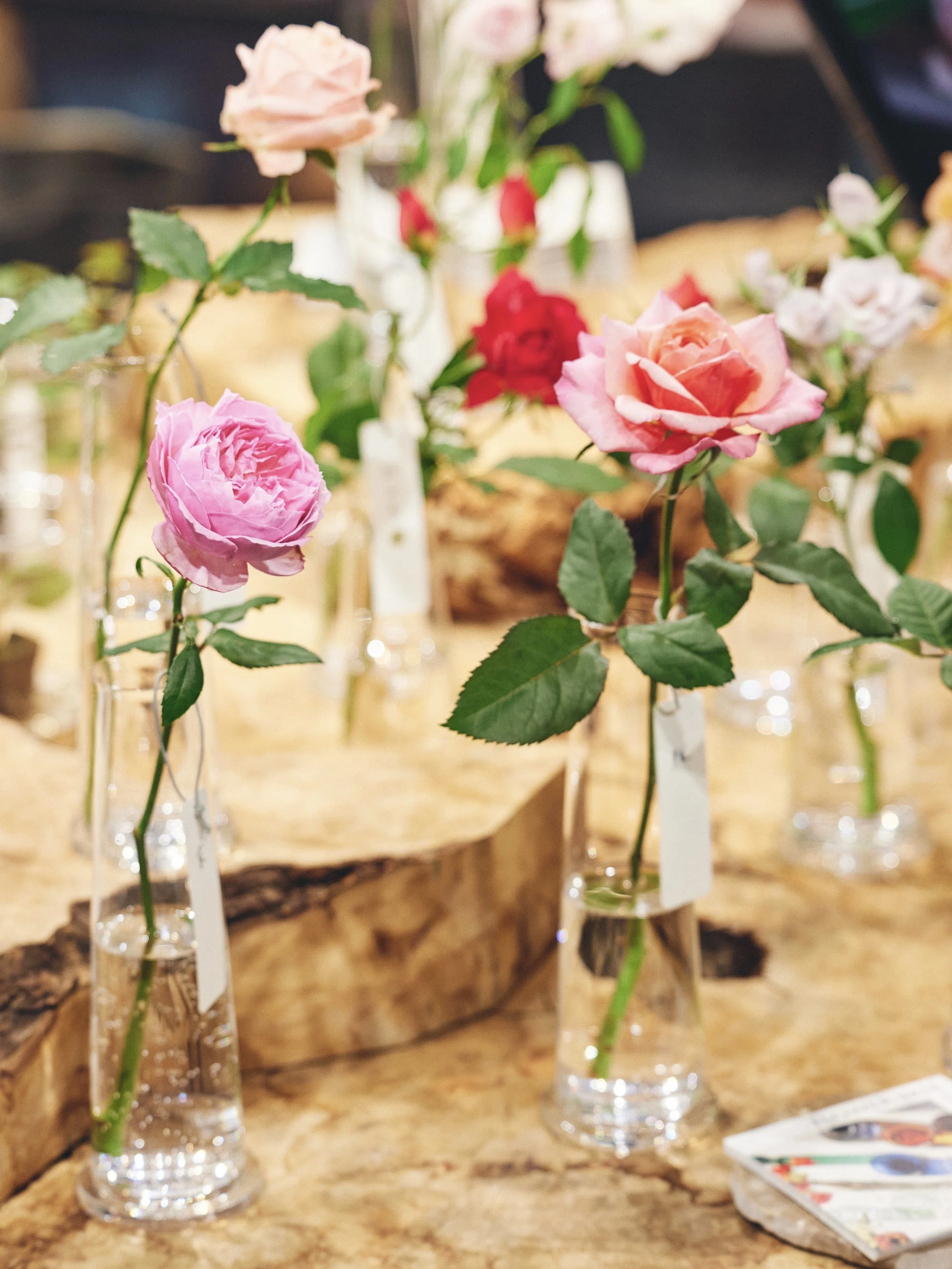 POP-UP REPORT】WABARA「おへやで育てるばら mini」がFLOWER VASE