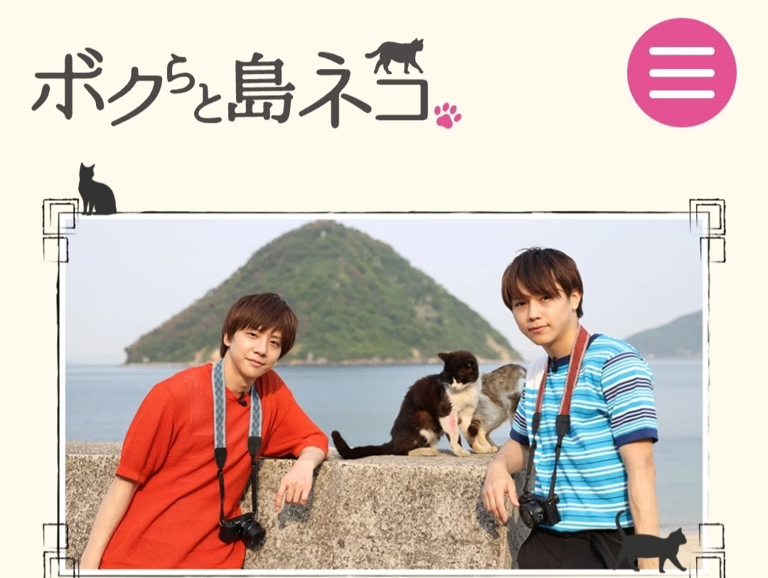 ボクらと島ネコ 椎名鯛造×深澤大河 感想｜えびふくろうさん