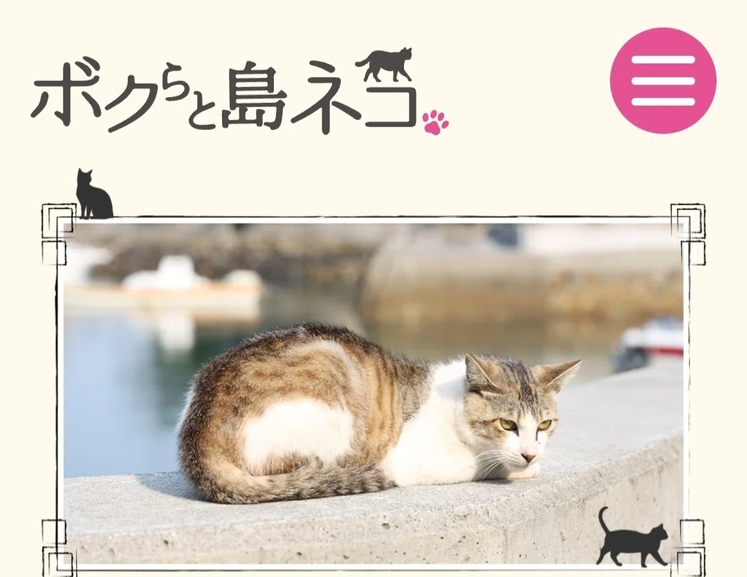 ボクらと島ネコ 椎名鯛造×深澤大河 感想｜えびふくろうさん