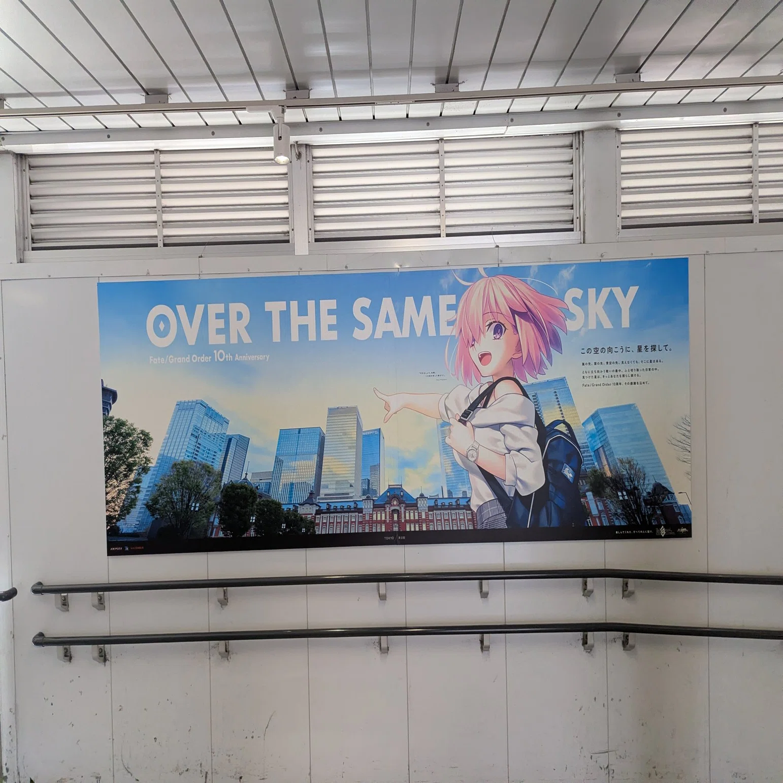 クリエイティブのバリエーション数に驚き Fate/Grand Orderの広告