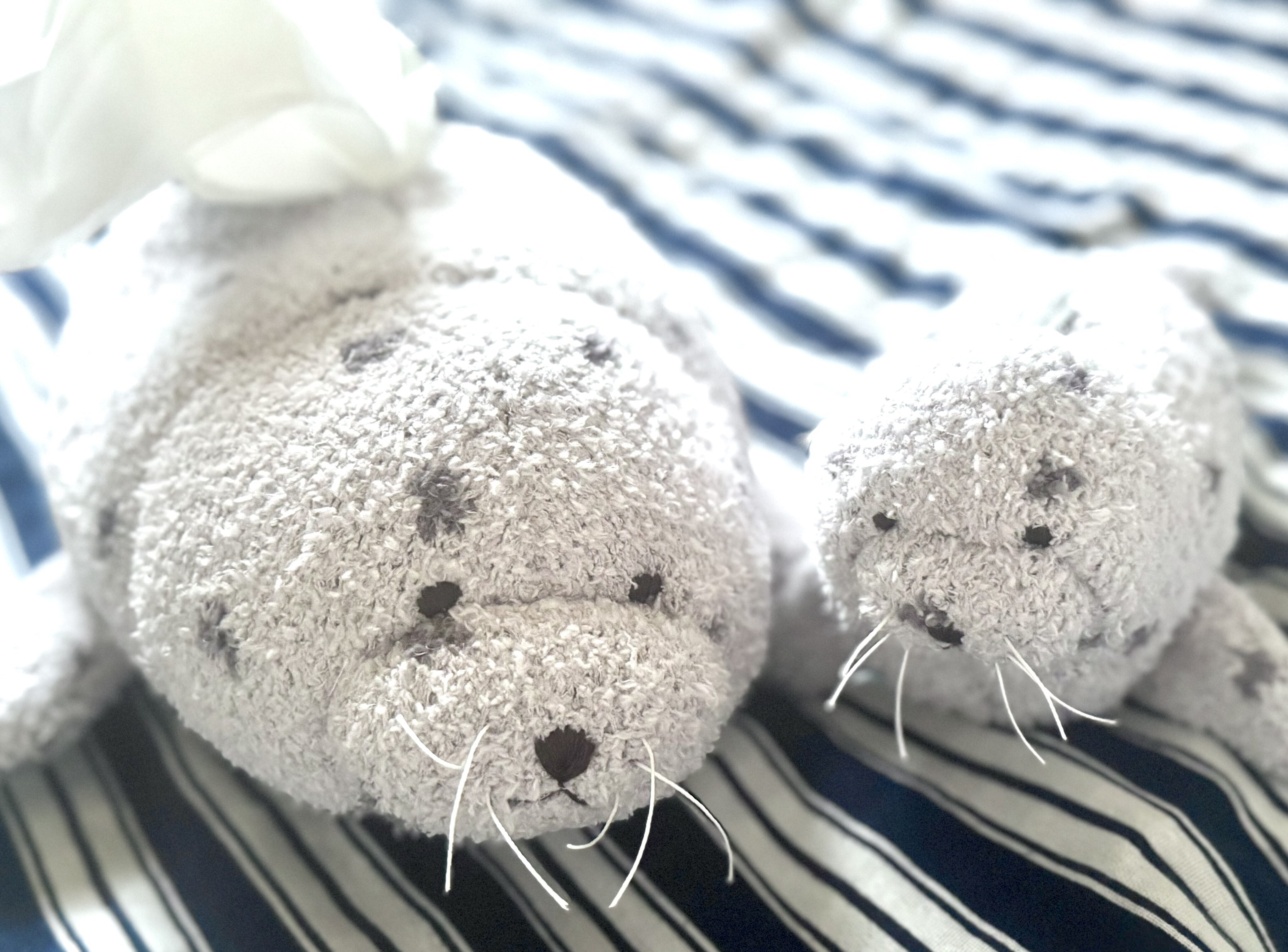 【完売商品】gelato pique AZARASHI ジェラピケがアザラシ出した｜ヒロサキ