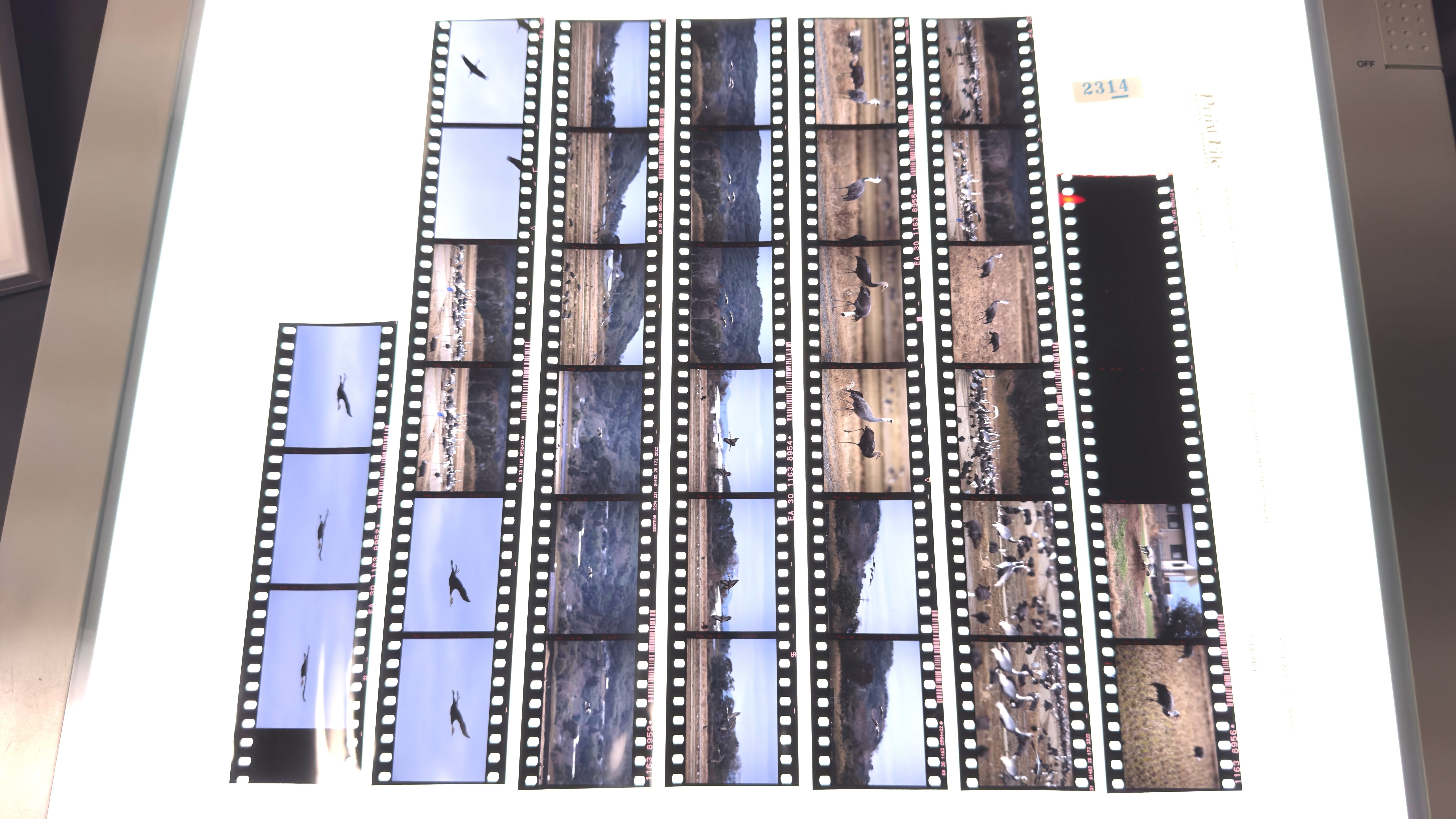 リバーサルフィルムでしか基本撮らない｜岩崎浩文 / 武者返し.com