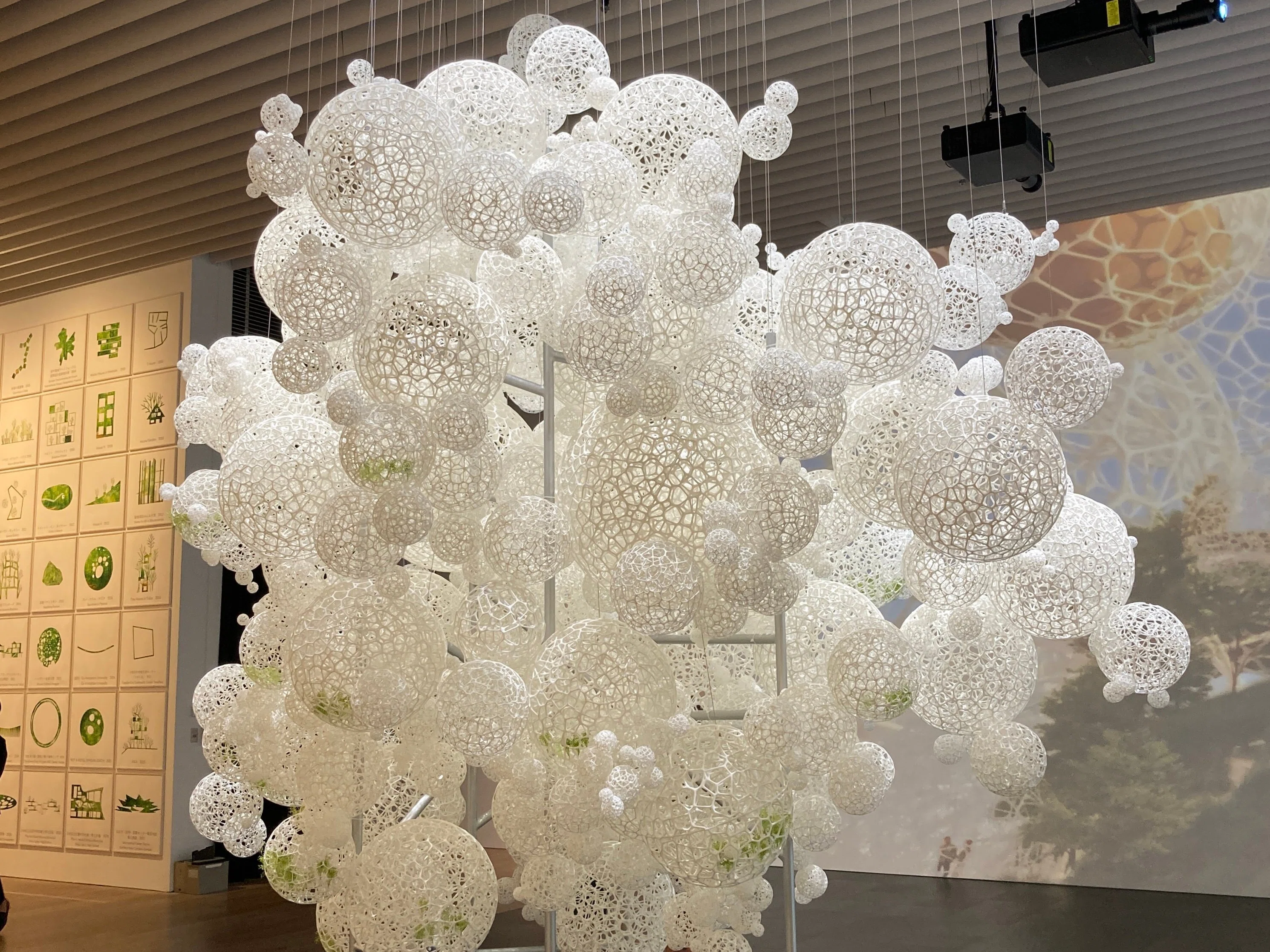 森美術館「藤本壮介の建築：原初・未来・森」が素晴らしかった｜中村