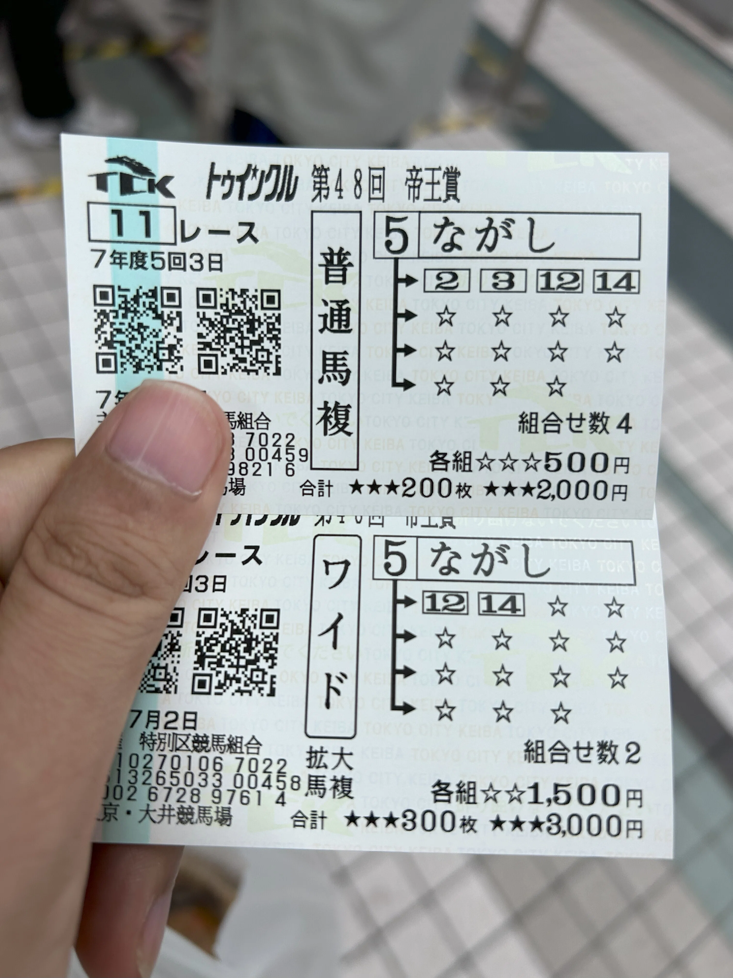ホクトベガ 19回帝王賞 大井競馬場 現地 単勝馬券